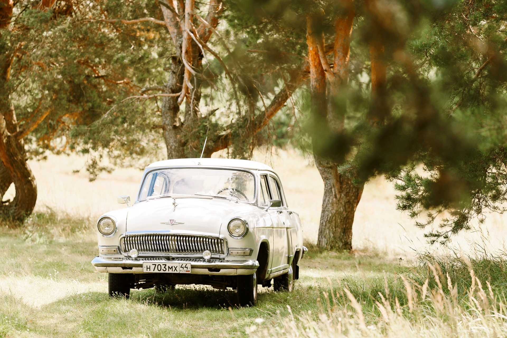 Прокат Аренда ретро автомобилей Волга ГАЗ 21  Кострома