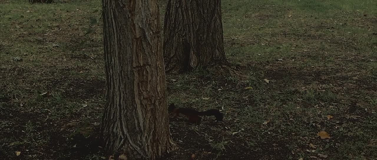 Видео примеры. #свадебныйфотограф #wedding #weddingday #lovestory #фотографволгогр