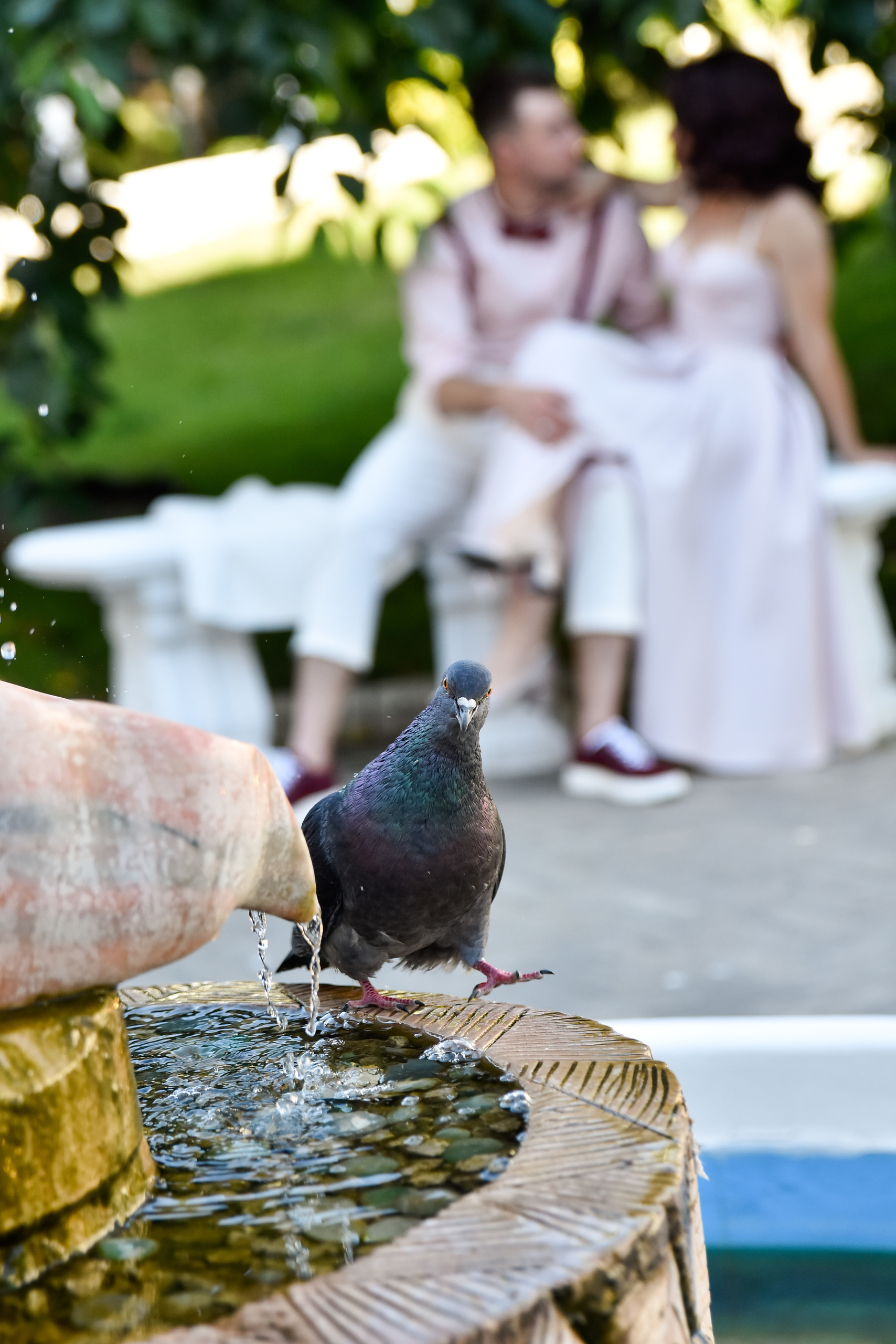 Свадебный фотограф в Самаре и Самарской области