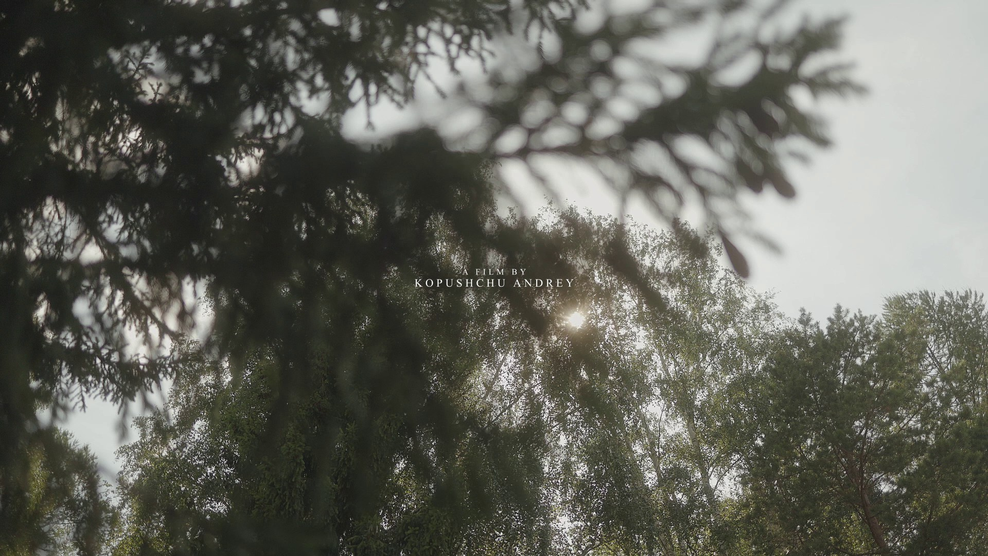 Кино про свадьбу. Свадебный организатор