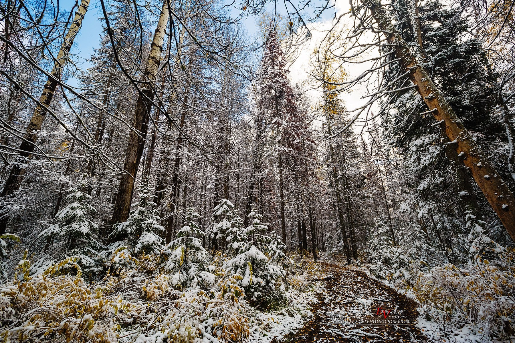 Экскурсия национальный парк заповедник Красноярские столбы цена заказать забронировать фото тур интересные места достопримечательности что посмотреть где побывать в Красноярске  Туристический маршрут центральные столбы скала Перья Дед Львиные ворота первый второй столб Фотосессия фотограф Красноярск природа пейзаж аэросъёмка с FPV дрона квадрокоптера