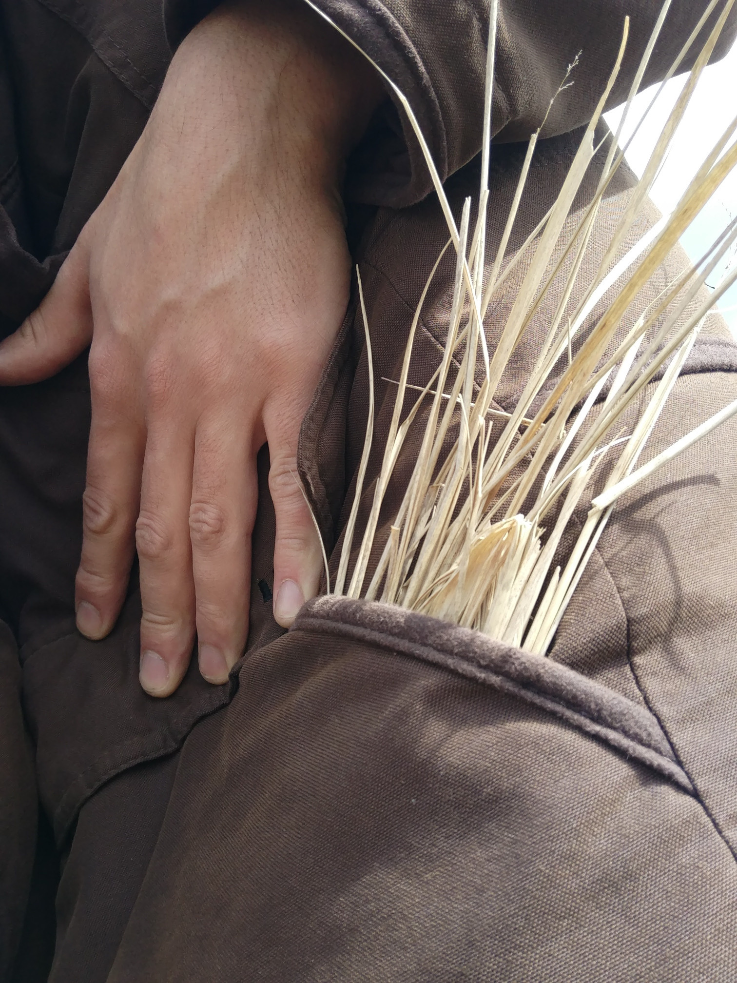 Не похоже на жизнь (2020). Художник. Фотограф