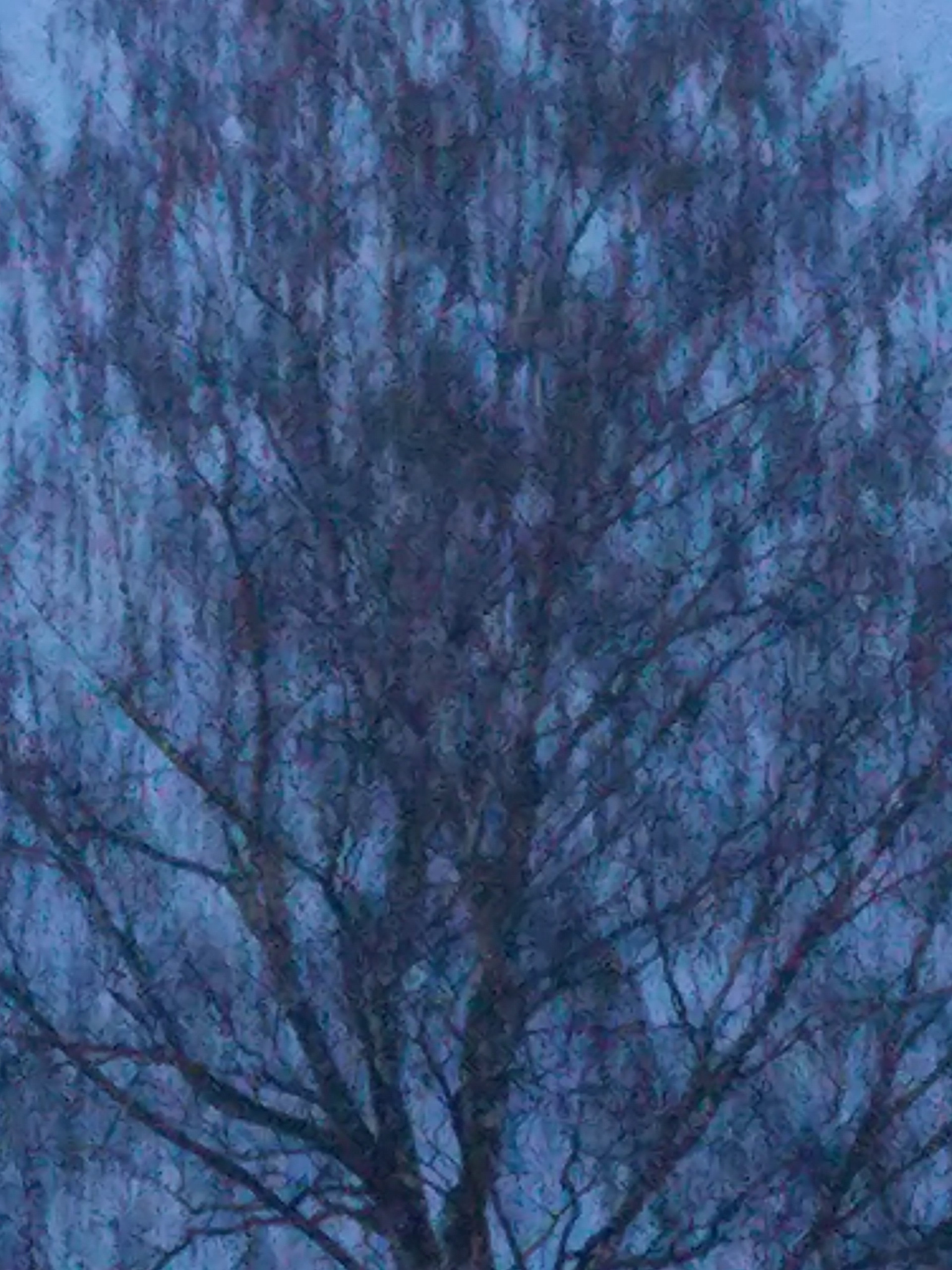 Не похоже на жизнь (2020). Художник. Фотограф