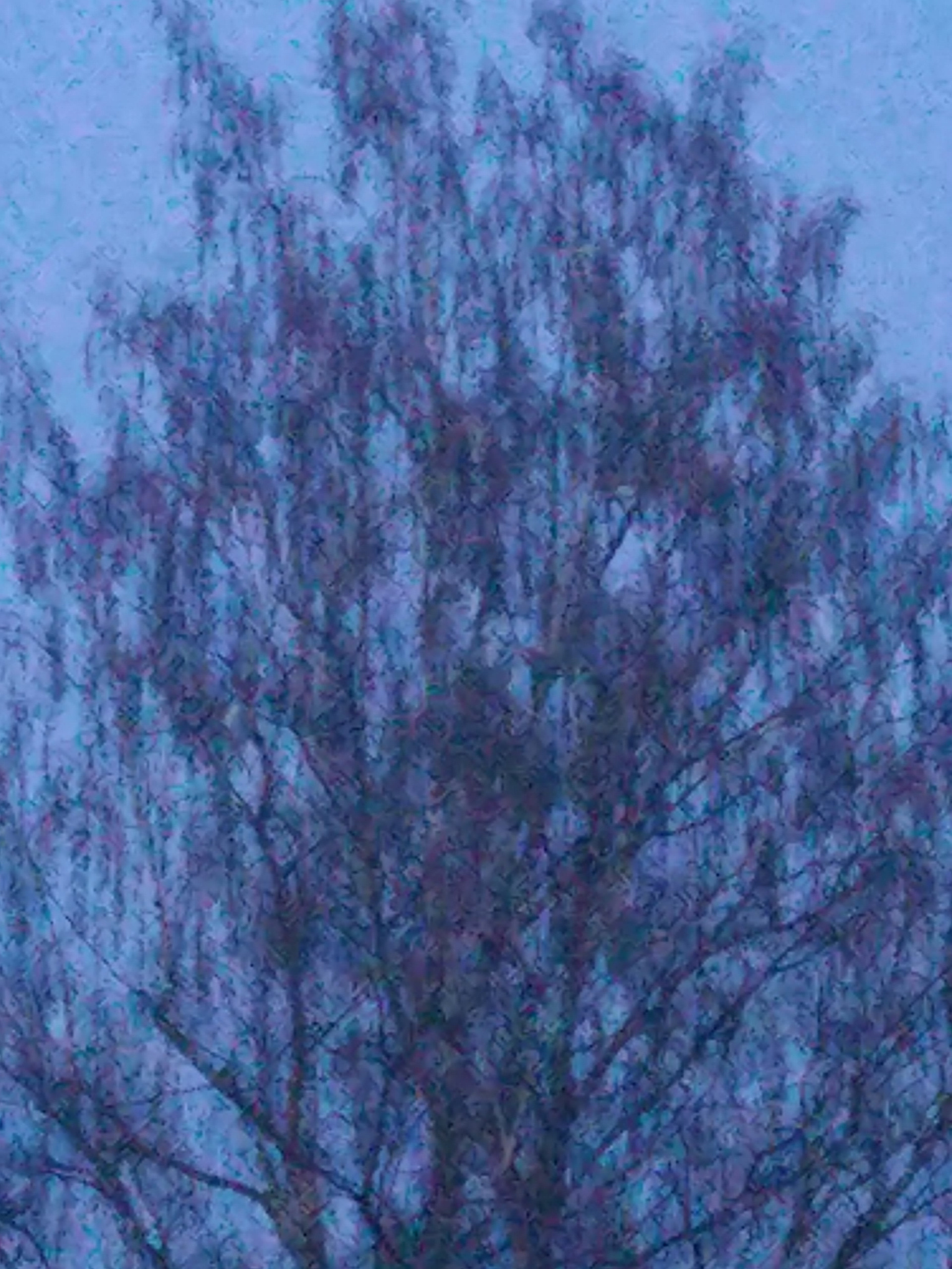 Не похоже на жизнь (2020). Художник. Фотограф