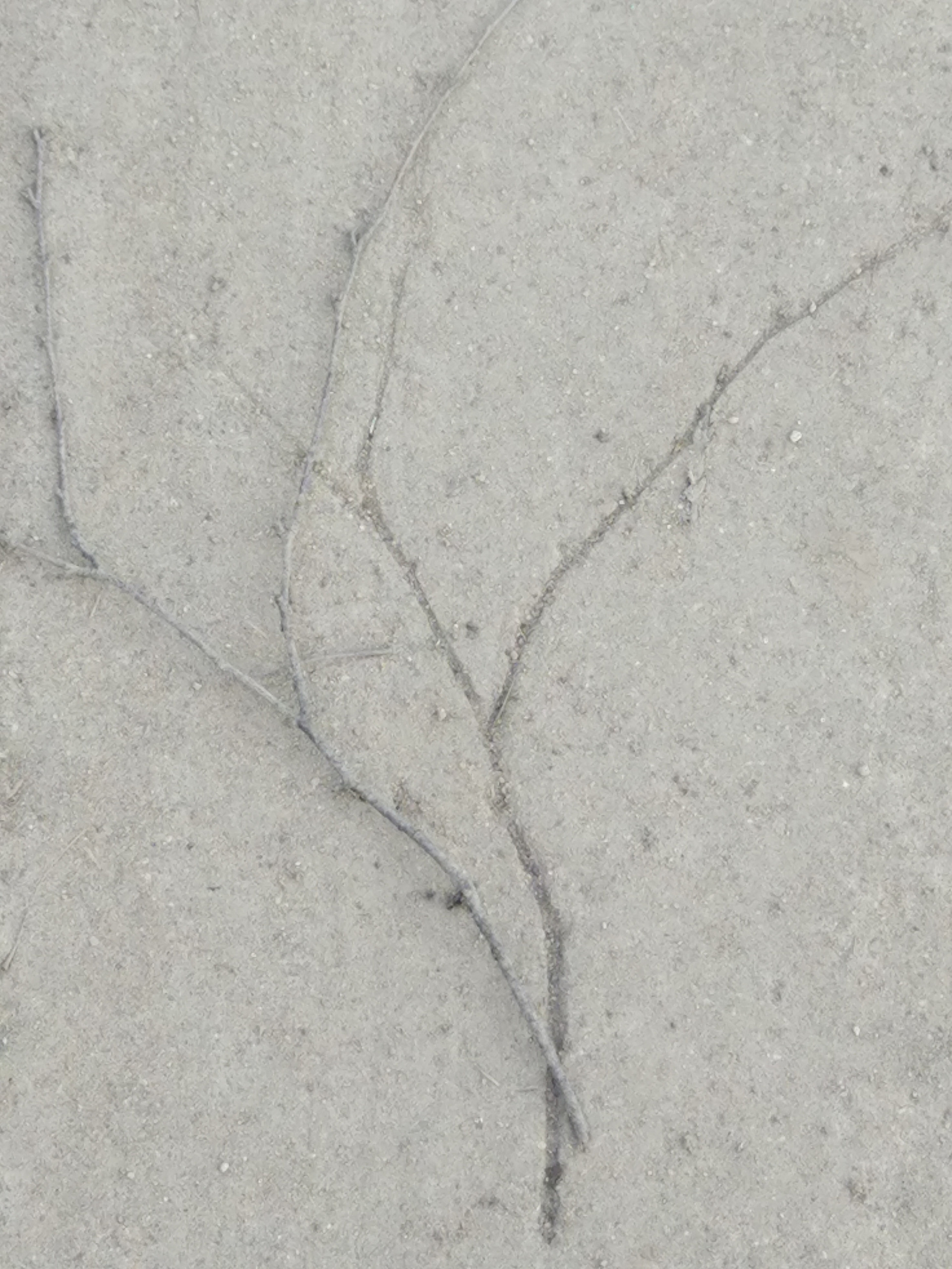 Не похоже на жизнь (2020). Художник. Фотограф