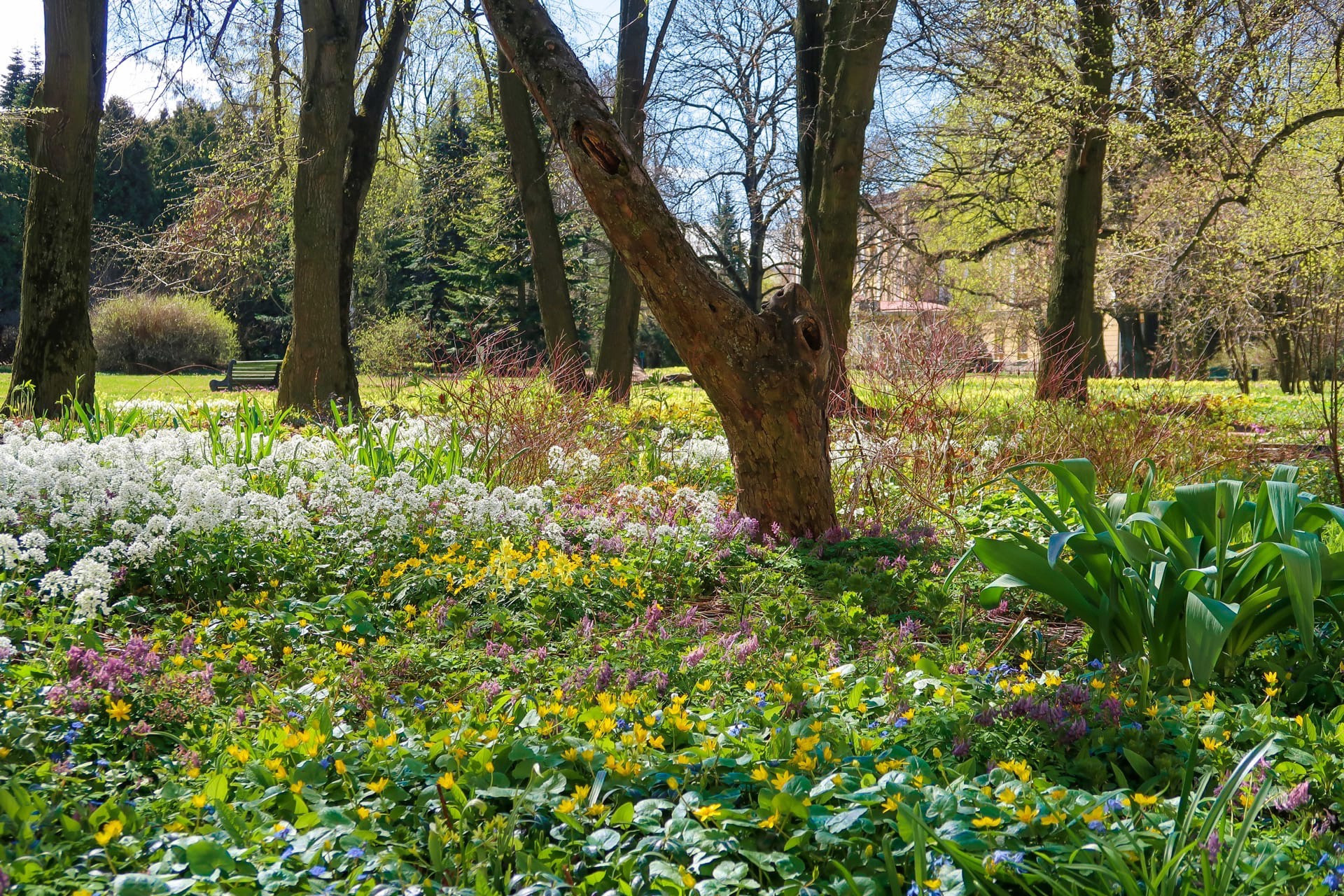 Зелёные локации для фотосъёмок в Санкт-Петербурге