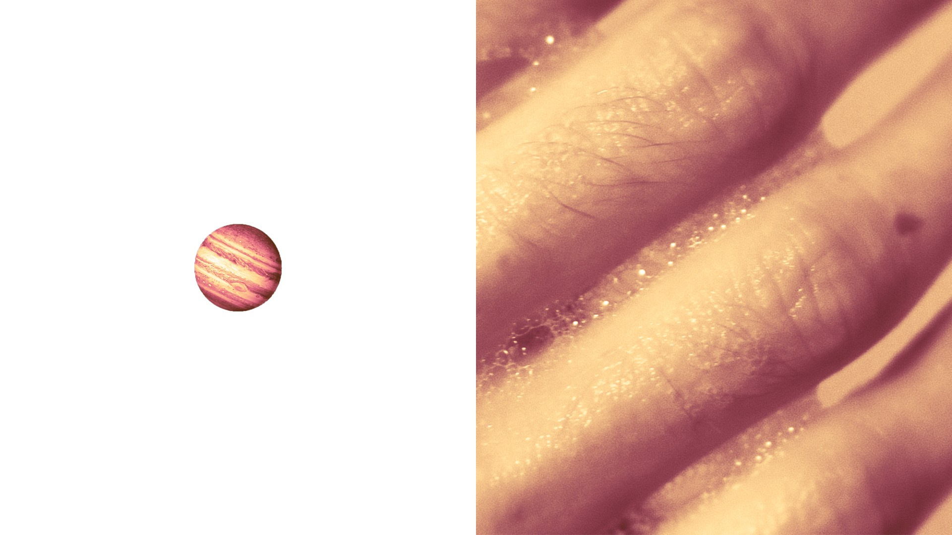 PLANET SIGNS. KSENIYA YATC