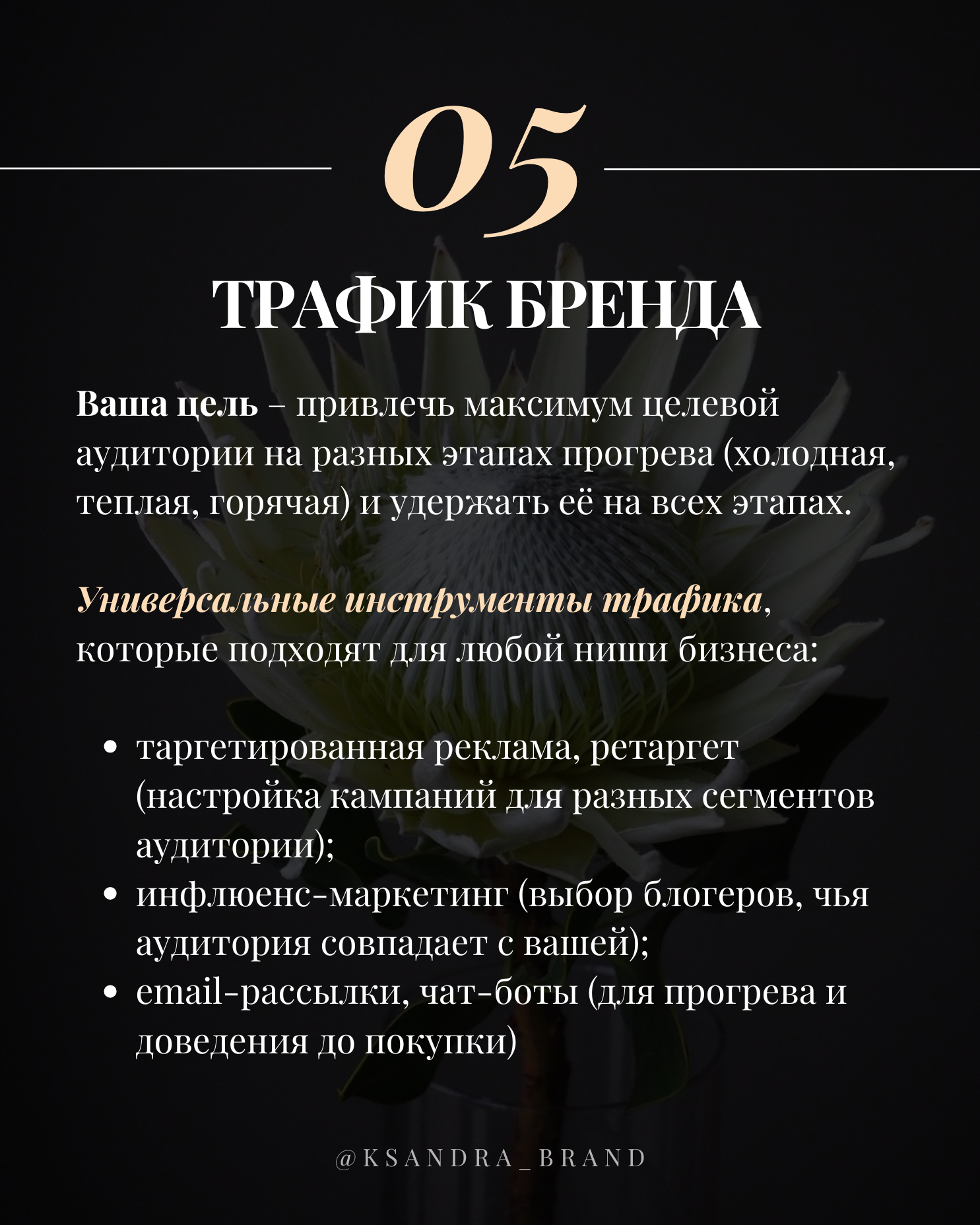 Практическое руководство: «Создание стратегии продвижения в соцсетях на 2025 год