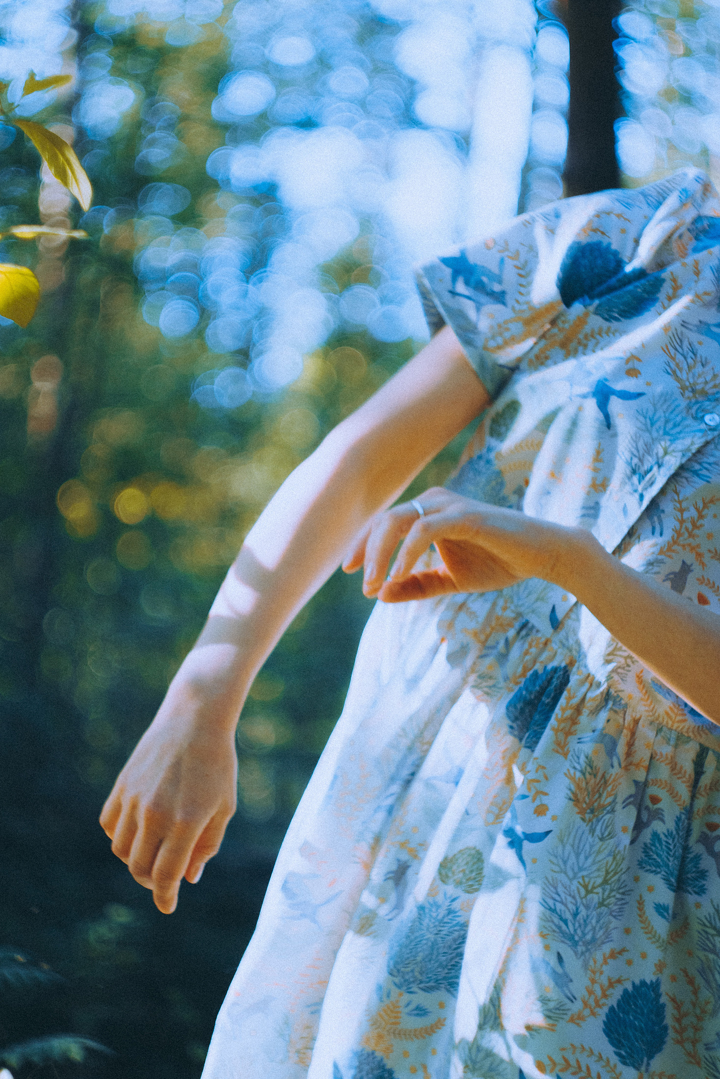 О птицах сказки. Алиса Аницкая