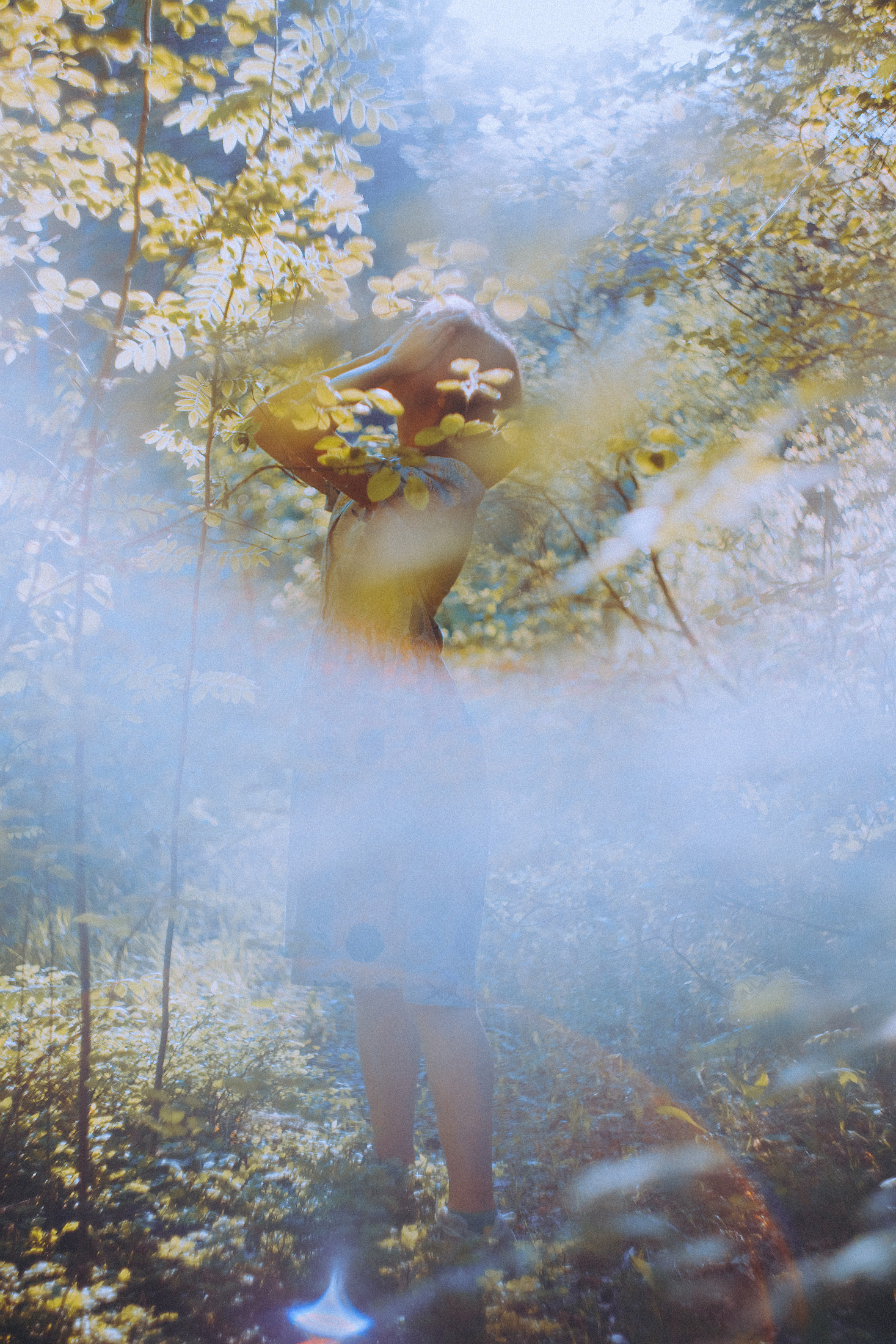 О птицах сказки. Алиса Аницкая