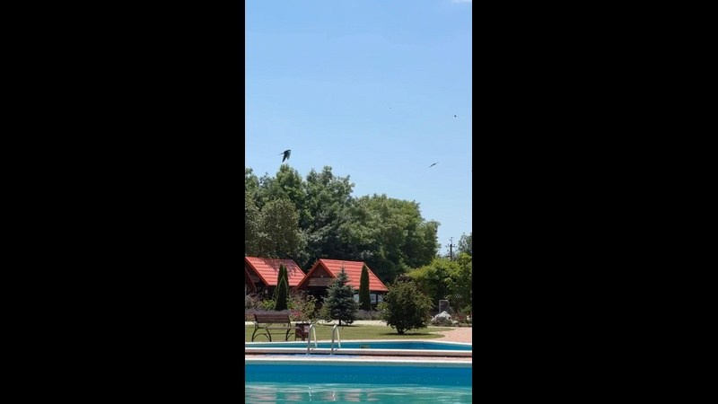 База отдыха термальные источники для купания Золотой ключик