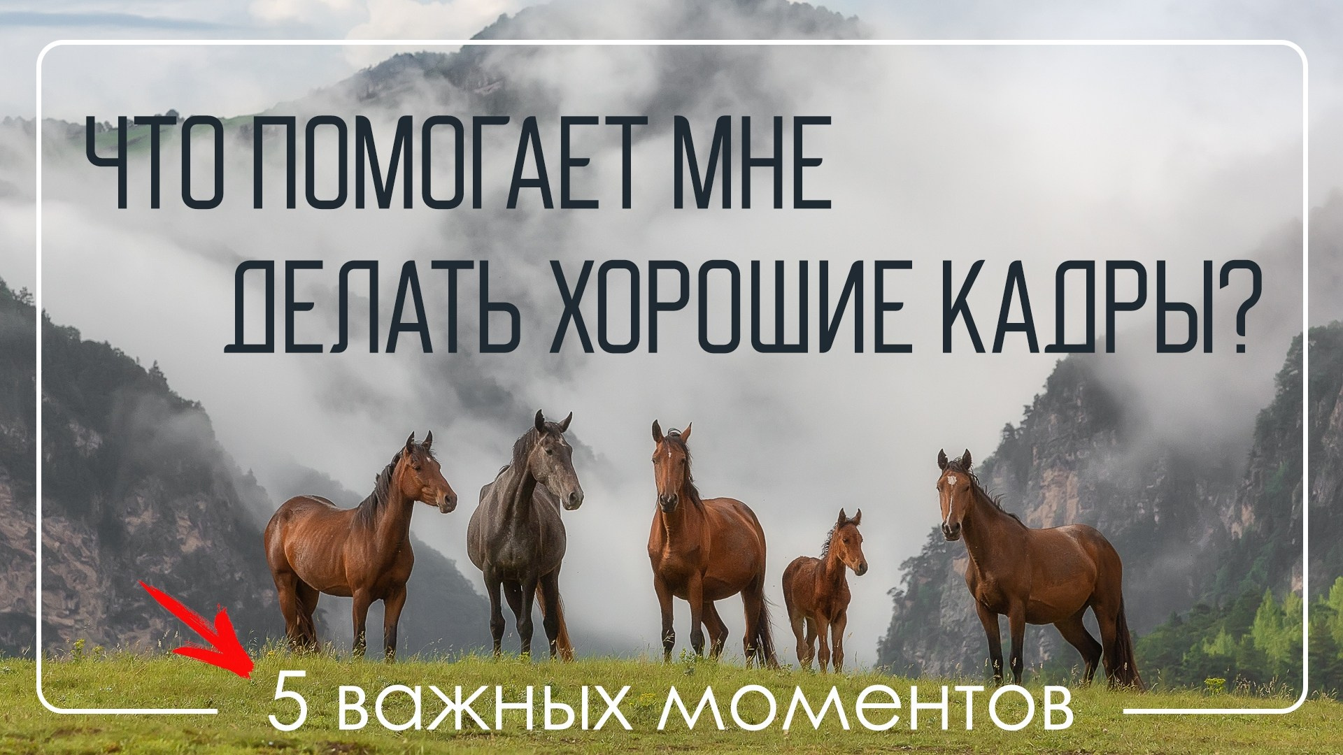 Видеоуроки. Фототуры и обучение пейзажной фотографии