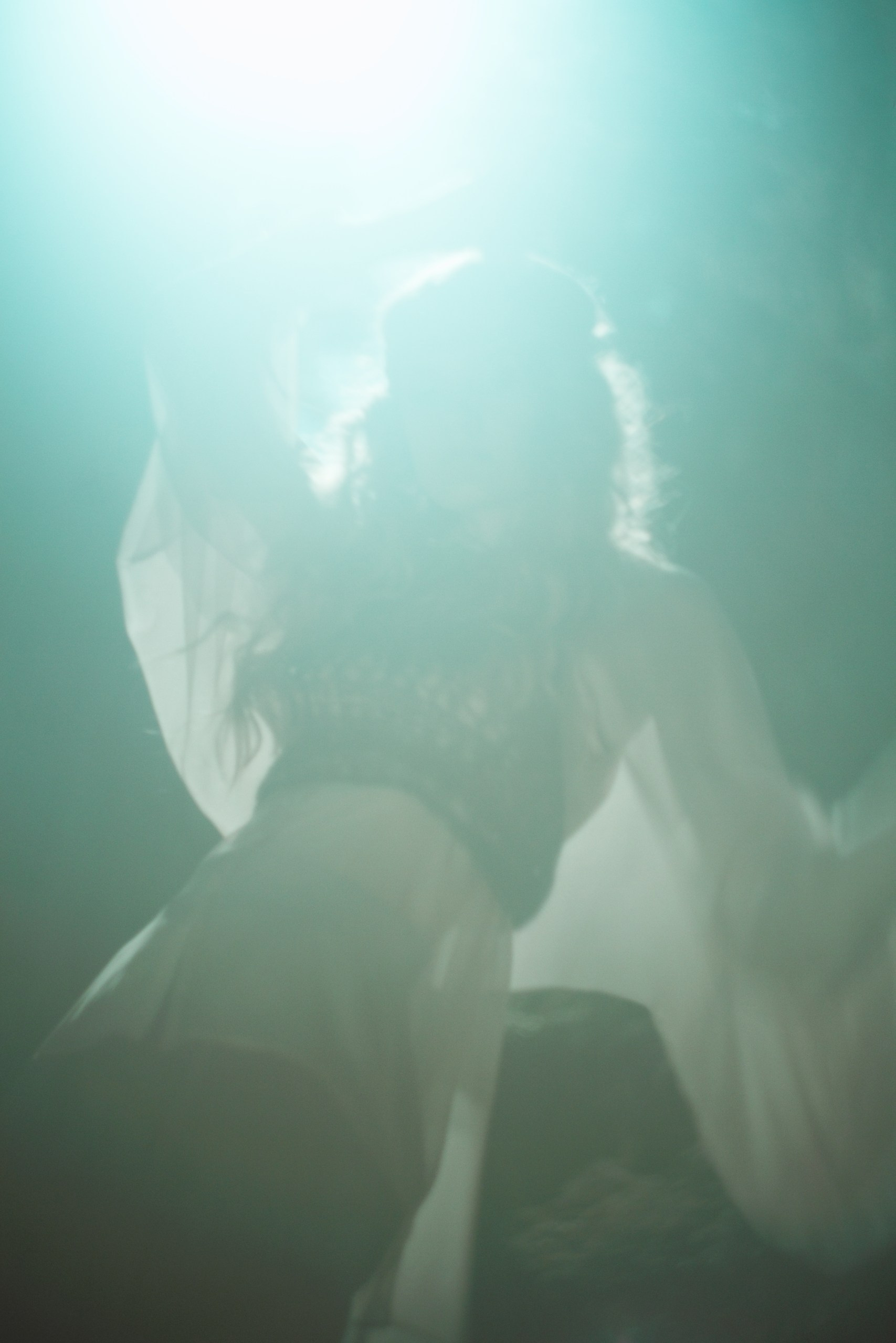 павловский парк