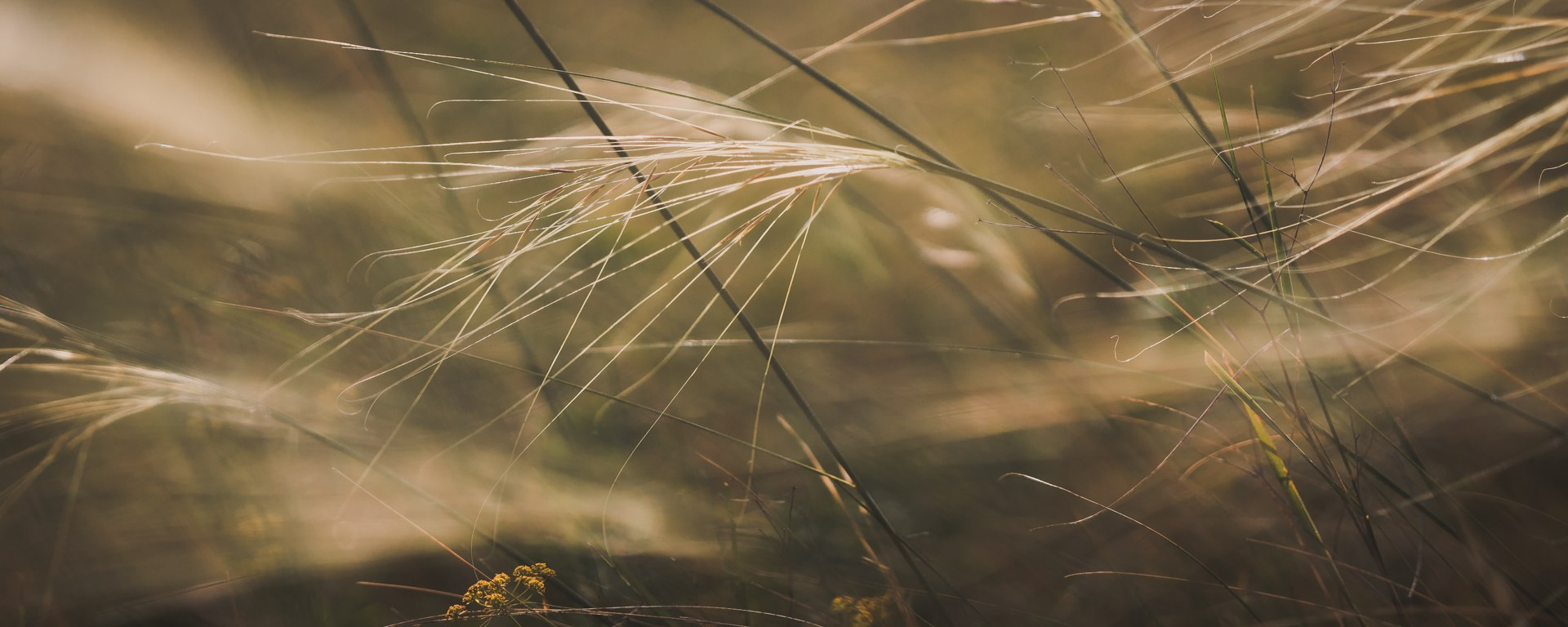 Саватейкин Ярослав | Портретный фотограф в Москве