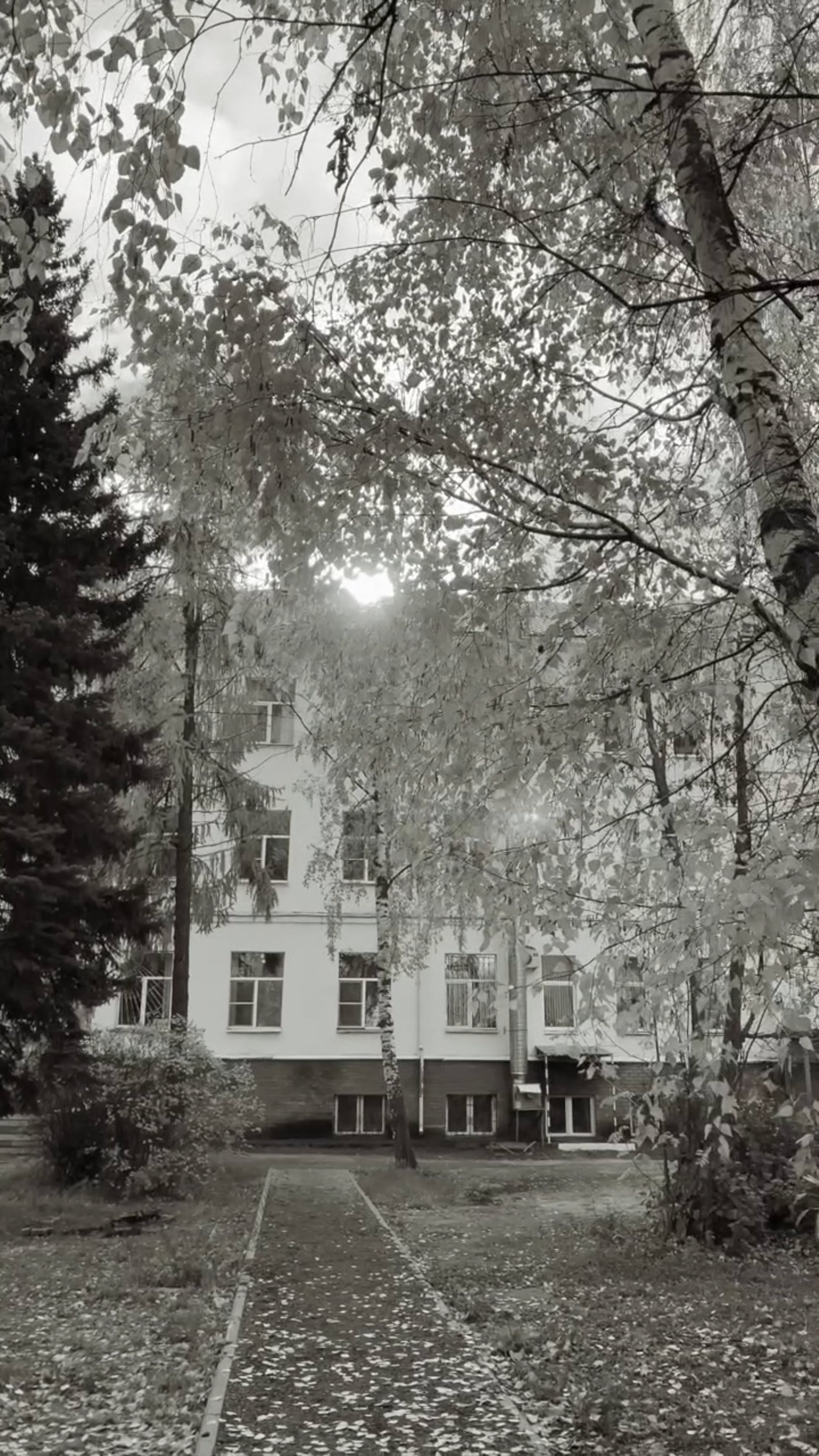 Роды — Фото/Видео. Фотограф Видеограф новорожденные и дети Н.Новгород Елена Длужинская