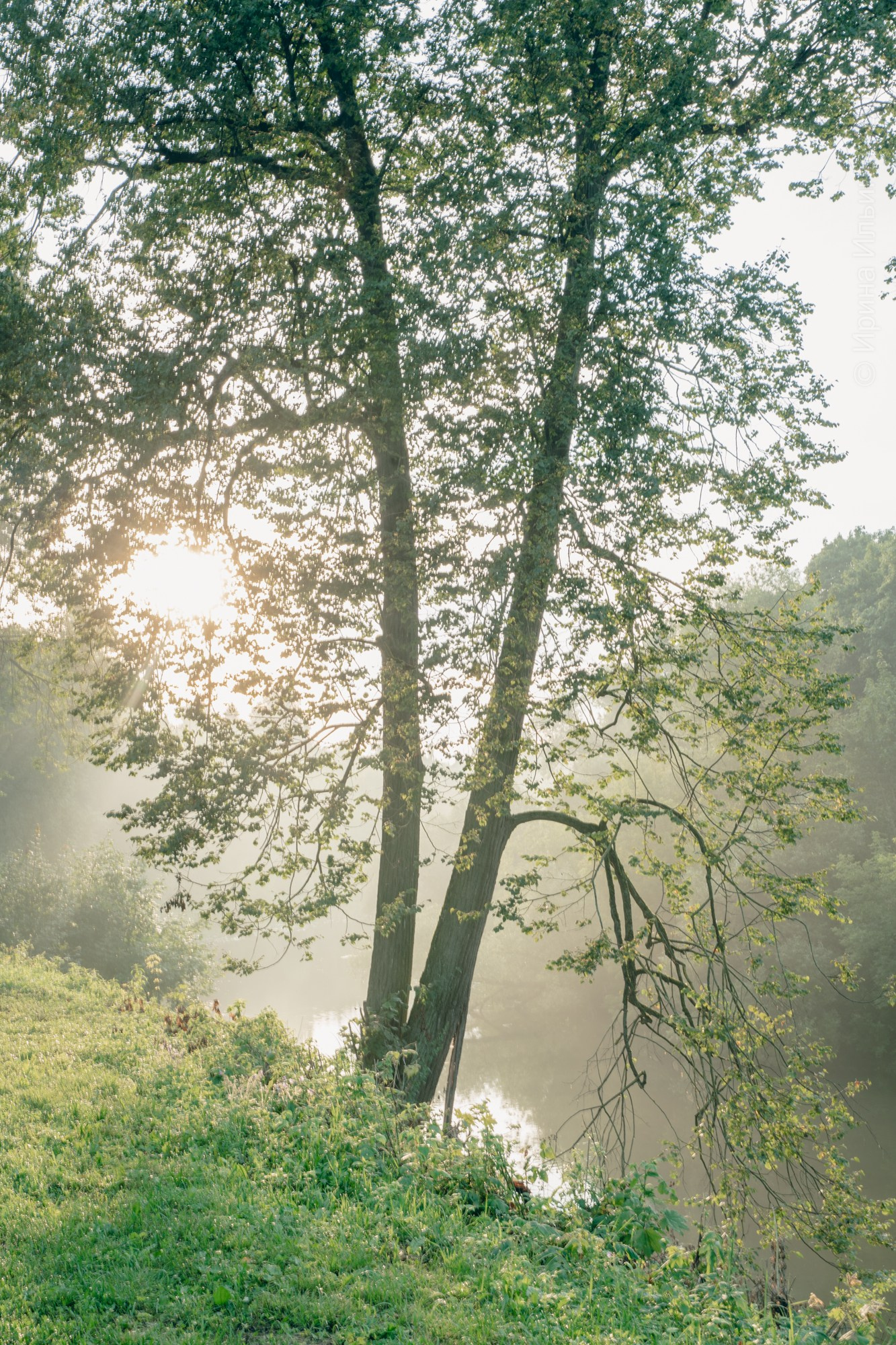 Фотокартины. Семейный фотограф Ирина Ильиных-Вольная в Москве и не только