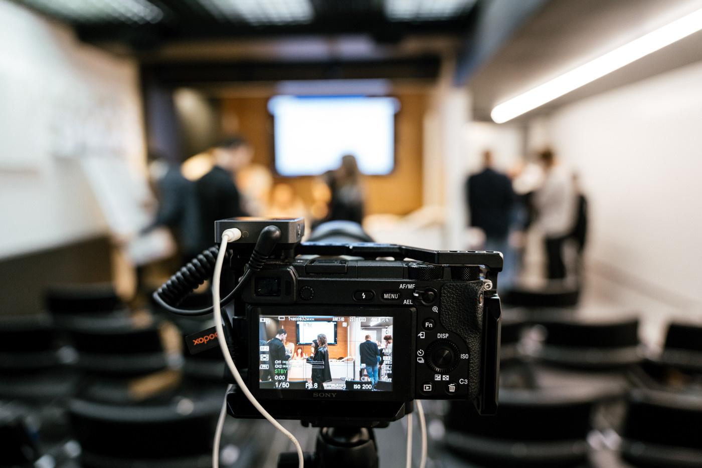 Fridman Team. Фотограф Томск, Новосибирск Влад Свириденко