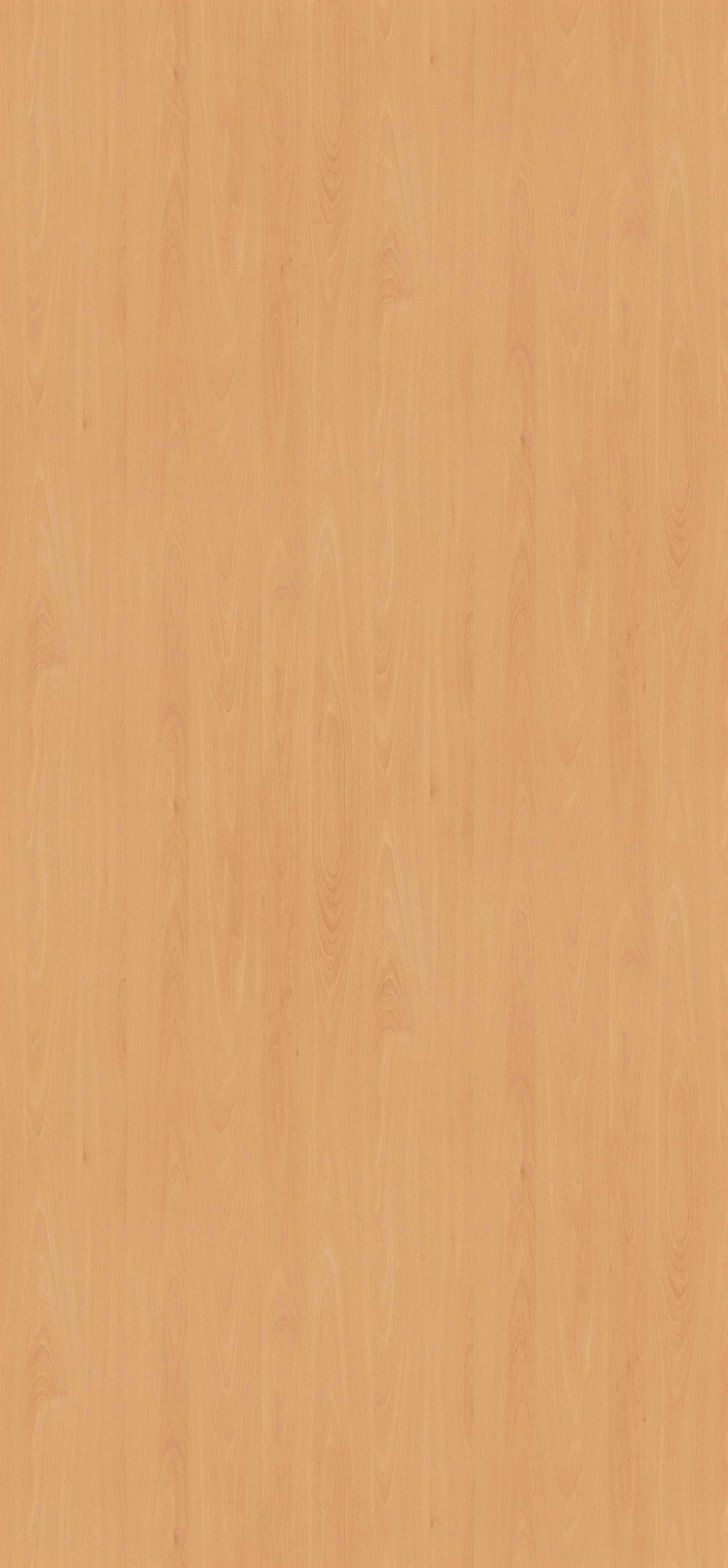 EGGER. Главная