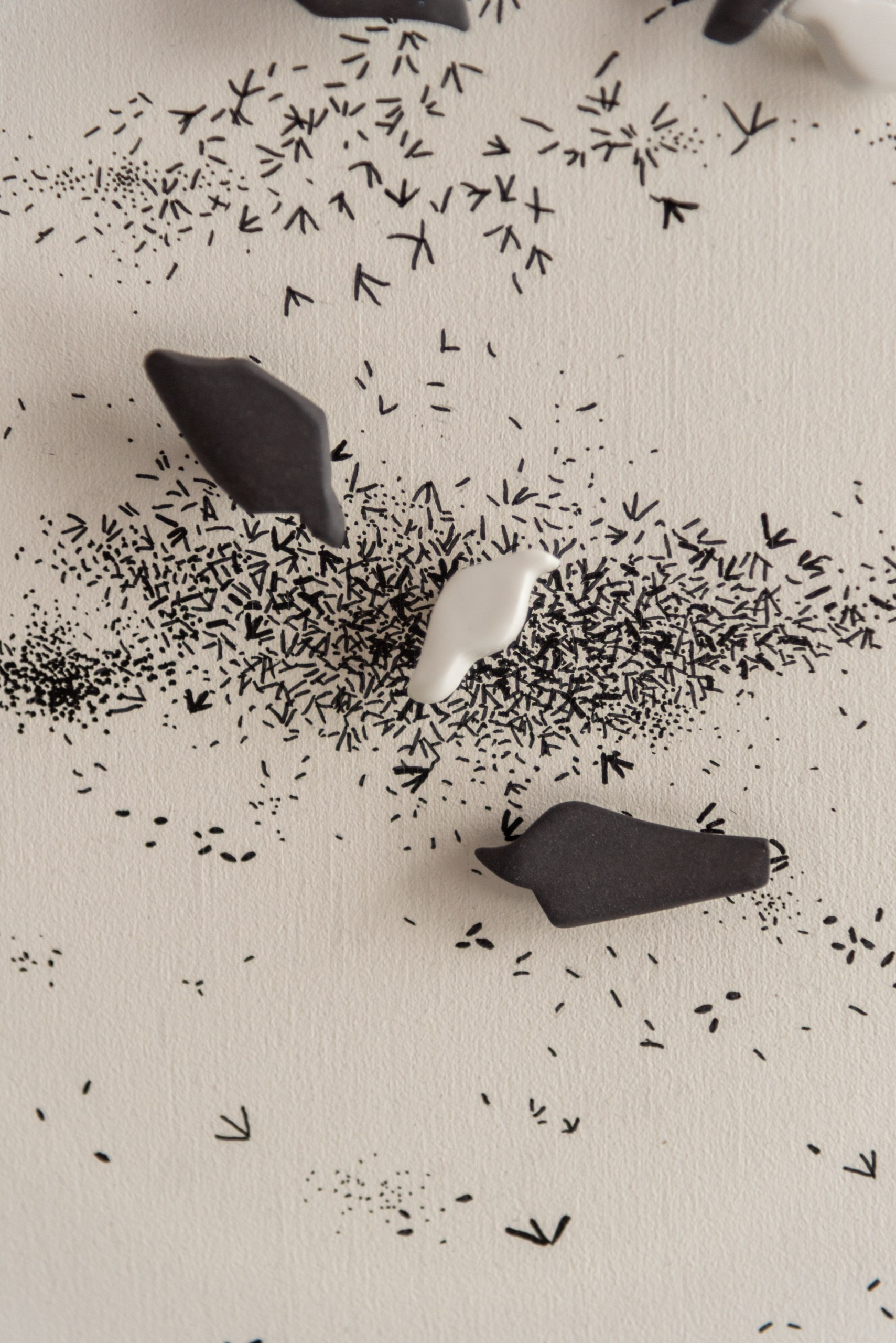 ГОЛУБИ | проект ПЕРЕменные | серия НЕ ШТРИХИ