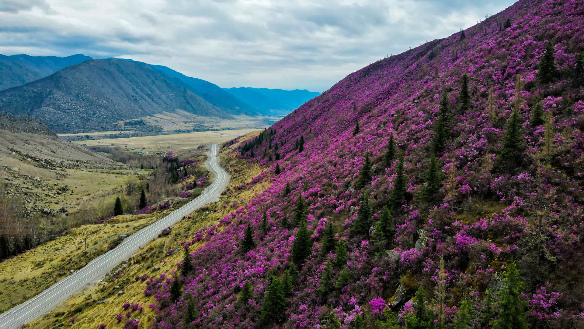 Майский тур. Новый уровень ваших путешествий по Алтаю