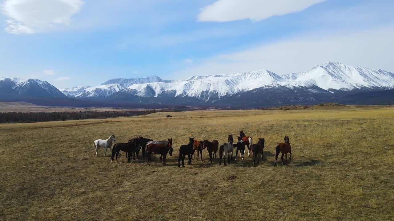 Майский тур. Новый уровень ваших путешествий по Алтаю