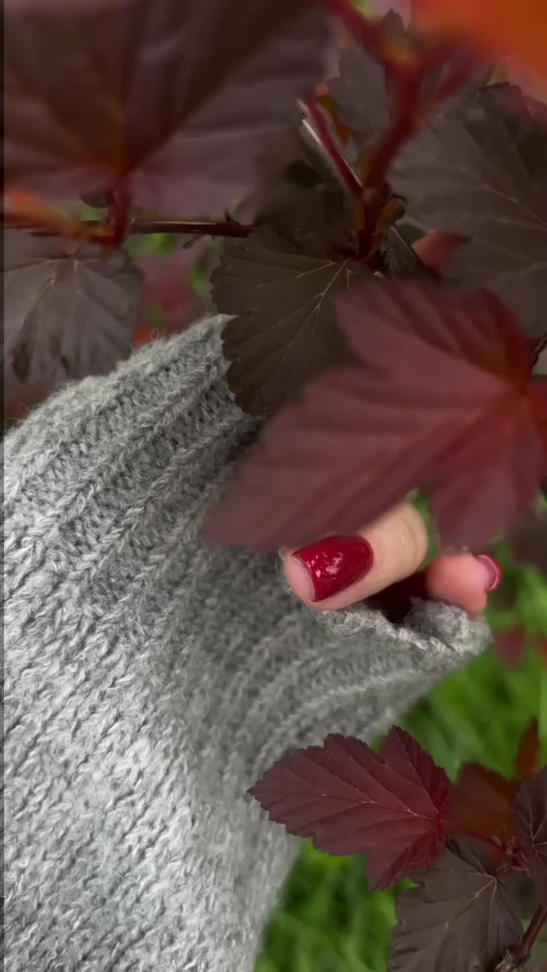 Все пресеты VN | Тёмные. Кинематографичный фотограф, видеограф Лина Плешакова, Санкт-Петербург