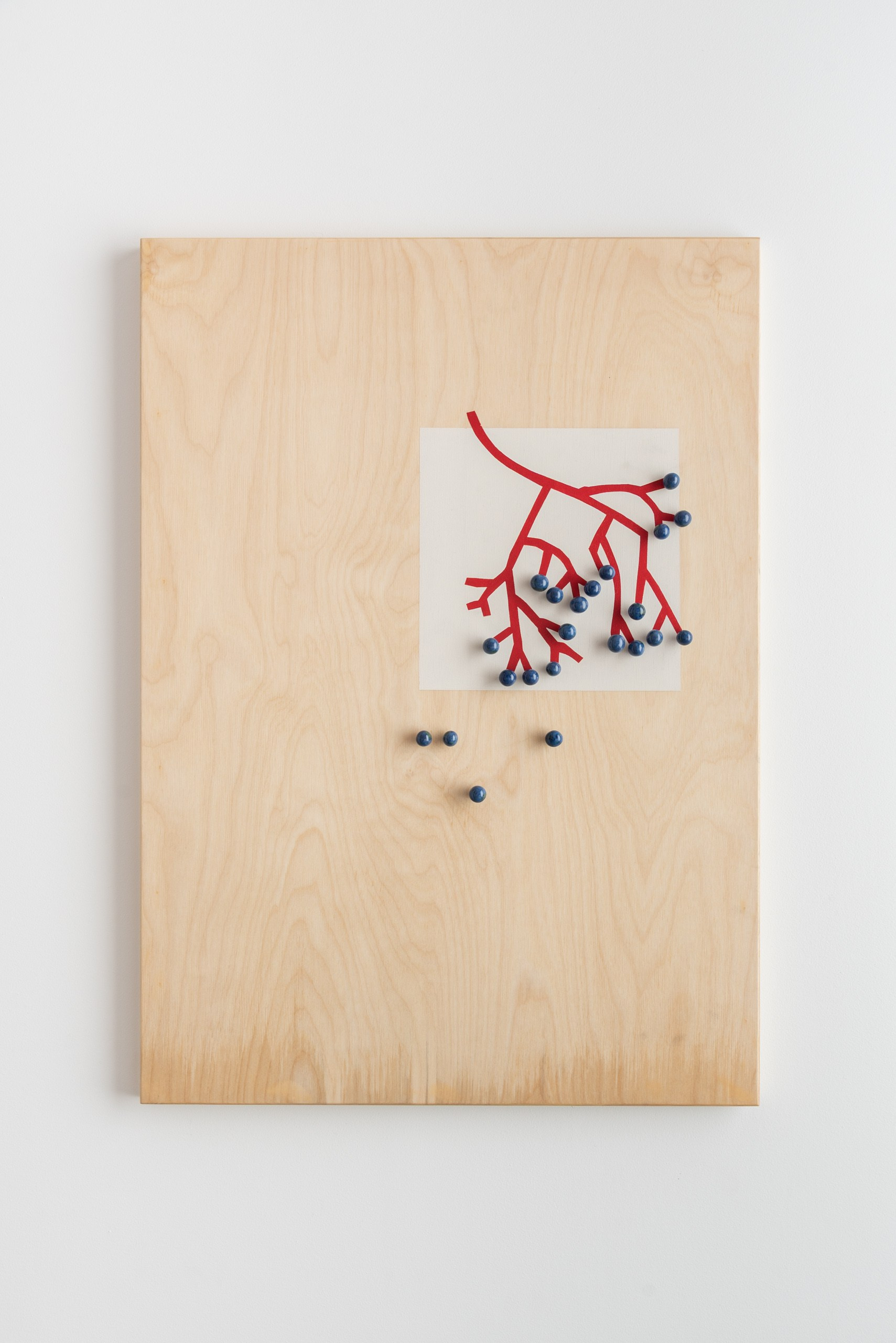 Серия интерактивных объектов ТО — НЕ ТО. Художник Ольга Папшева ЛИТПРИНТ / LITPRINT Саратов