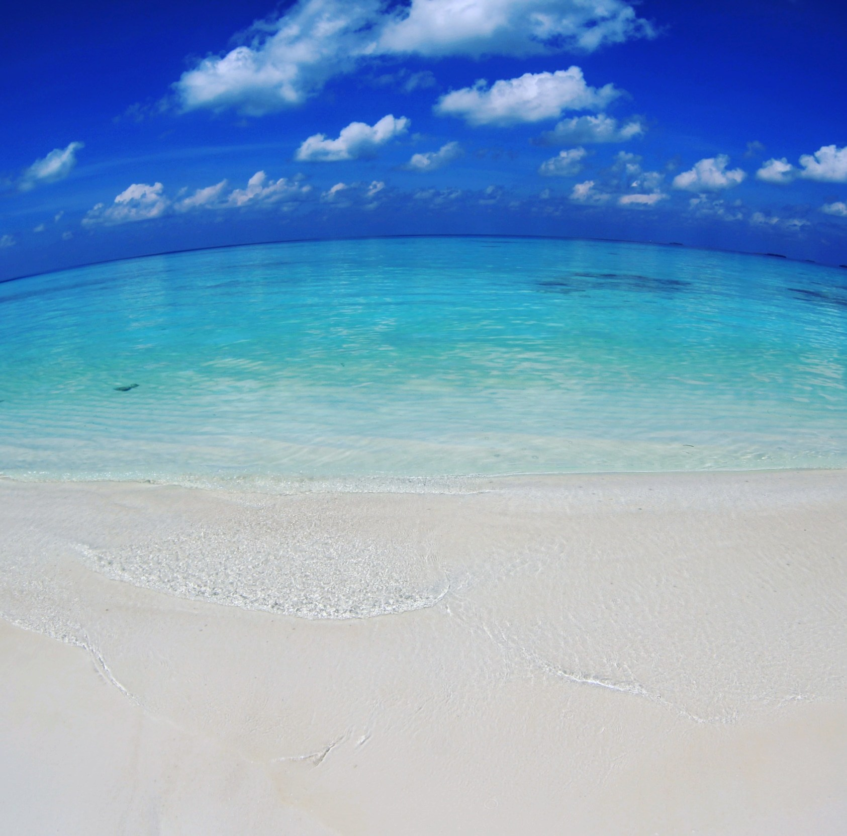 Фотограф Мельник Ирина. Москва