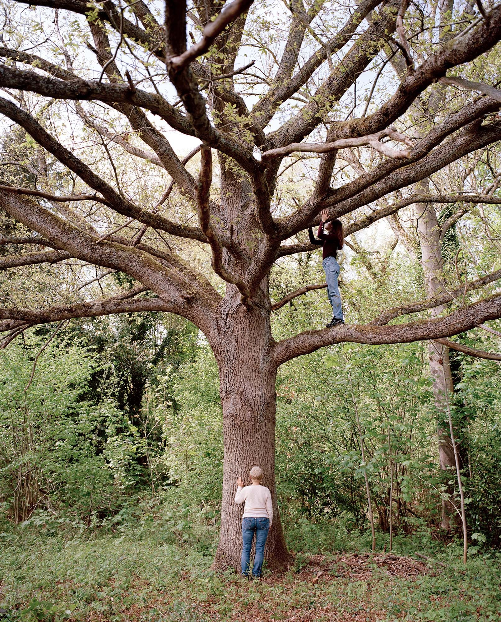 Клэр Легран (Claire Legrand) и её серия семейных портретов. Private image