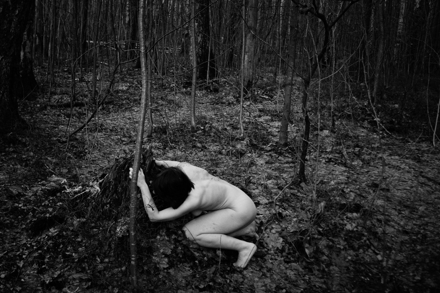 Wandering. ✨misha khazov • photography • performance