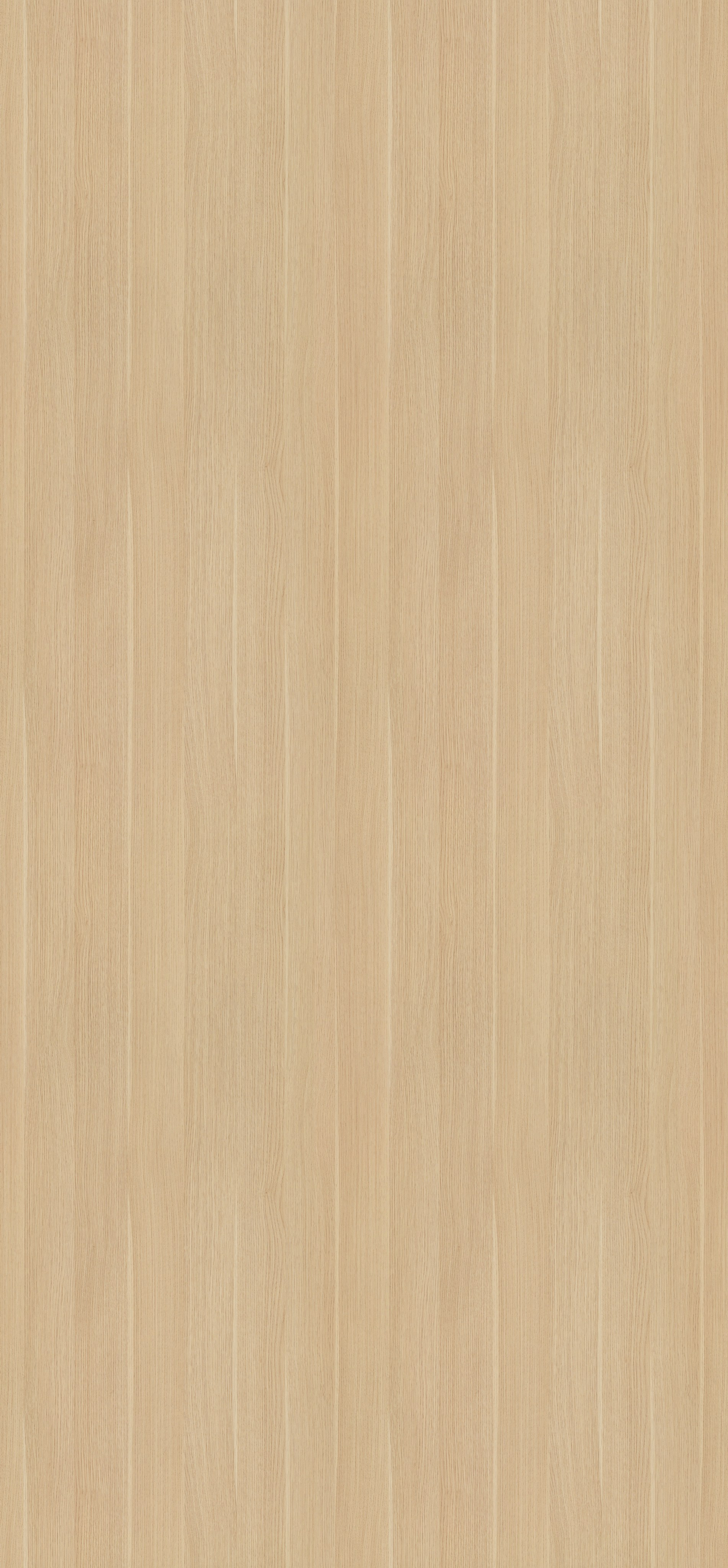 EGGER. Главная