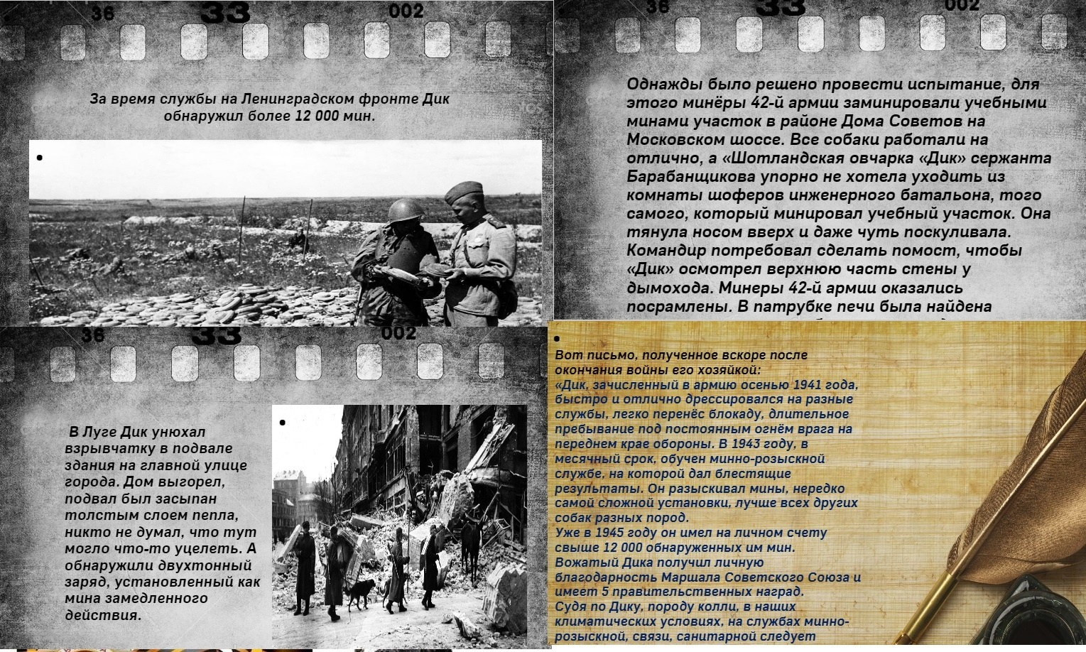 Мероприятия для юных кинологов — «Помним их имена», «Портрет фронтовой собаки». НРОО КЦ "Собаковод"