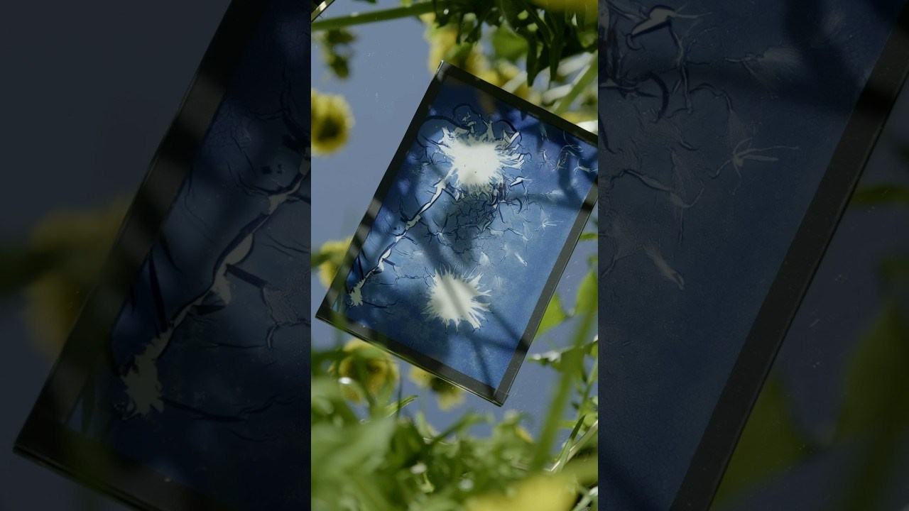 Alternative processe. Maria Norden