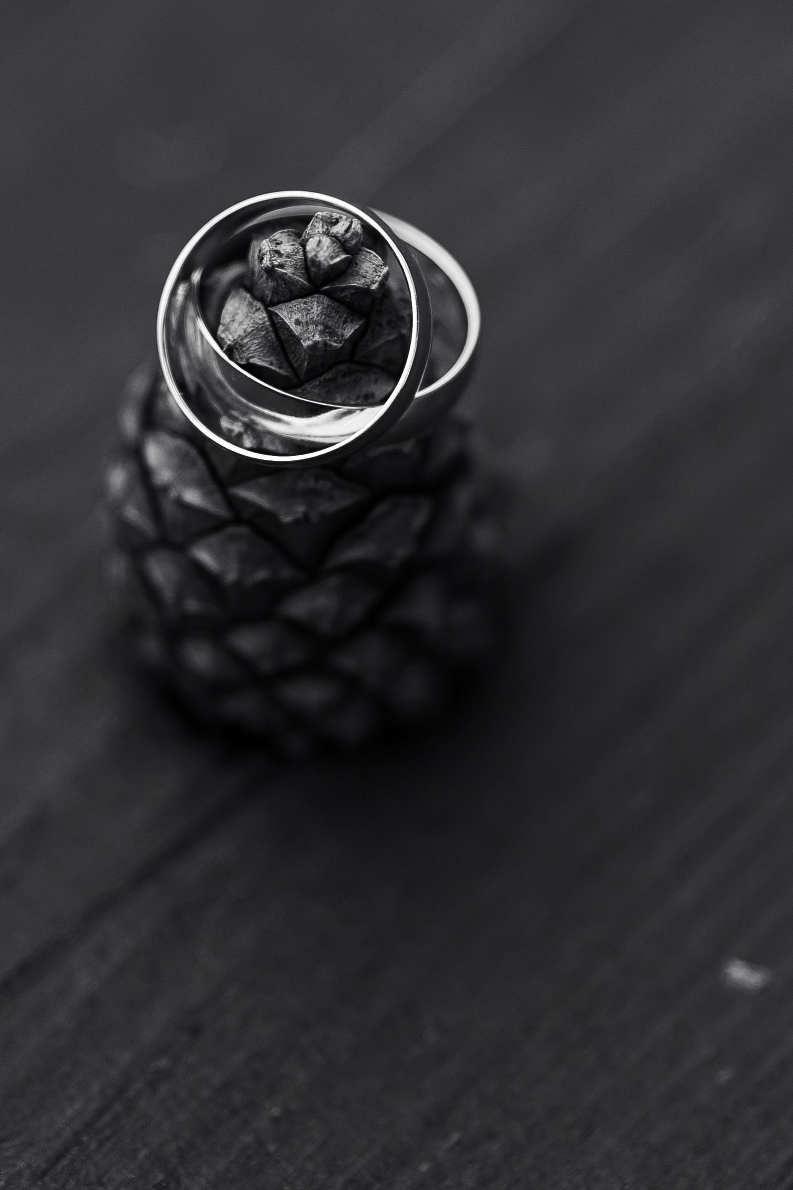 Фотограф Светлана Голицына