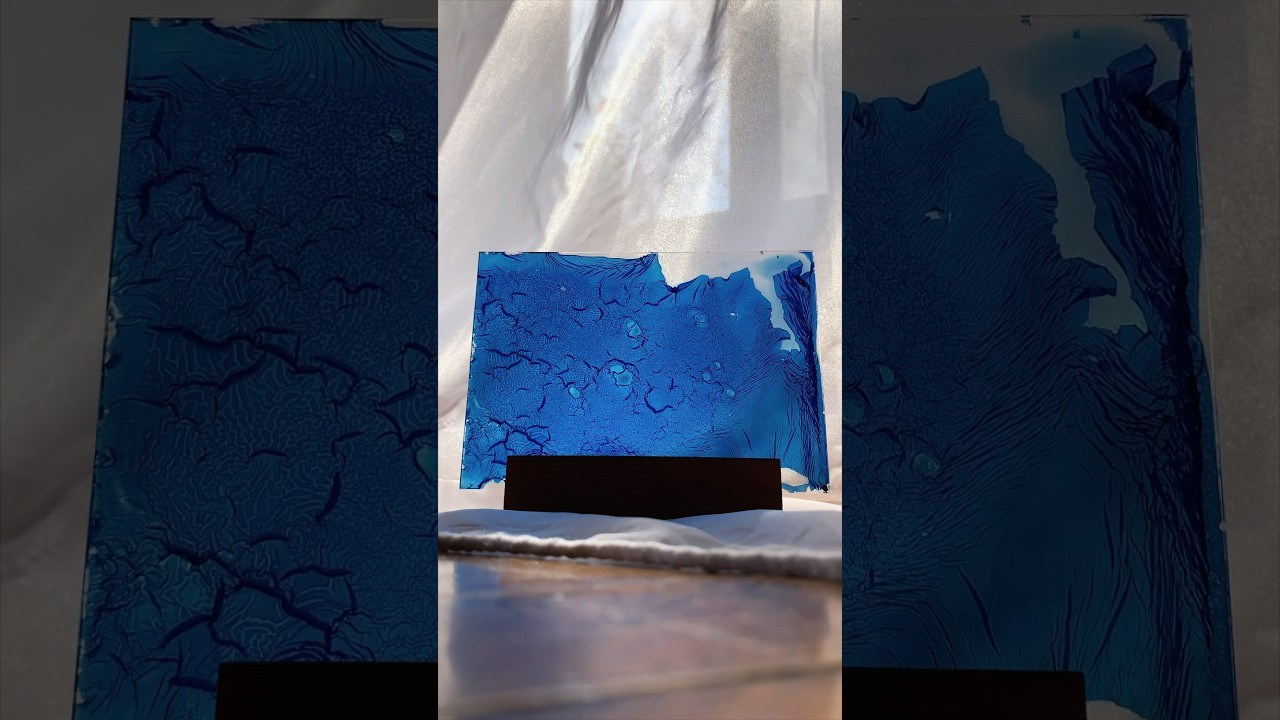 Alternative processe. Maria Norden