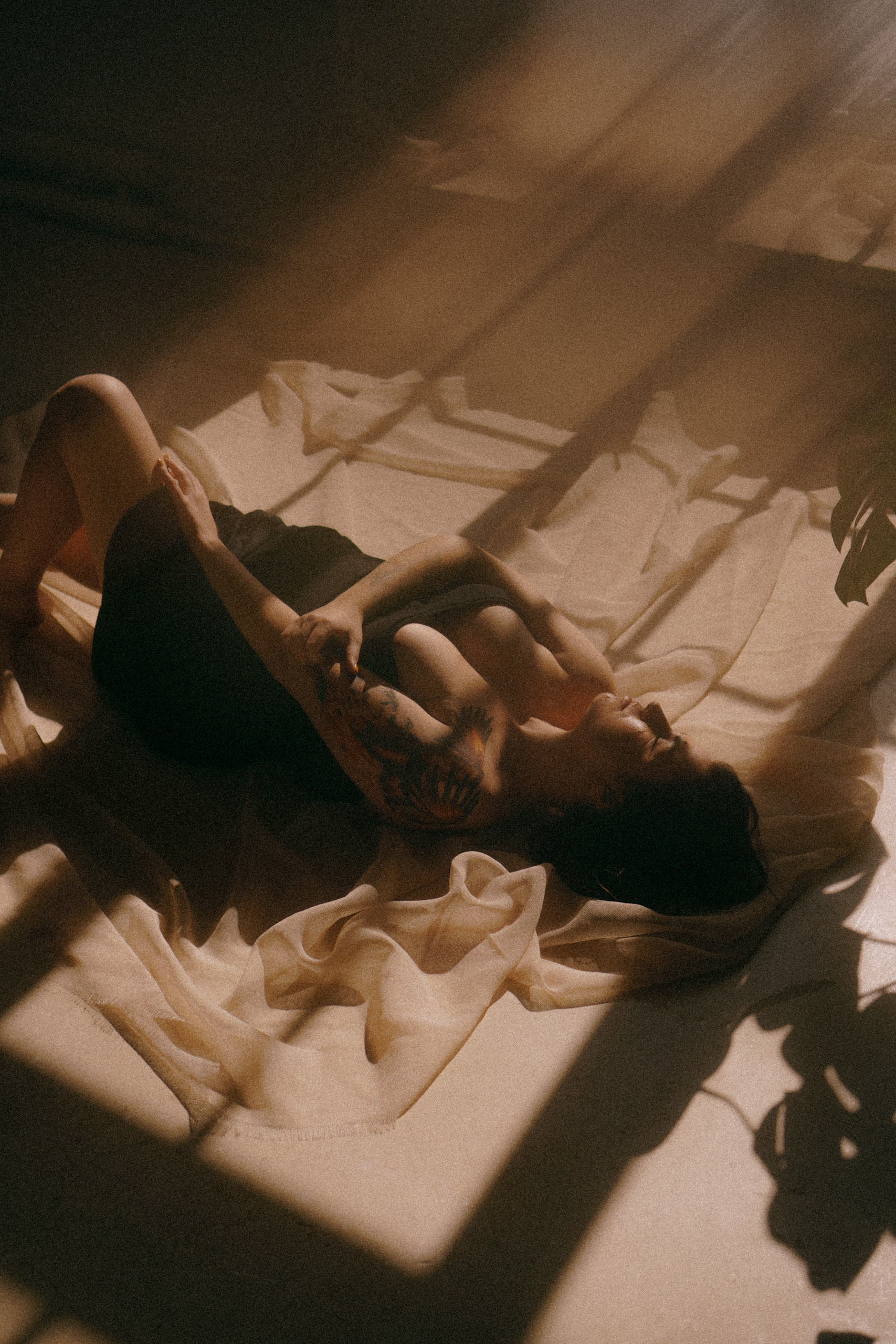 Фотографии