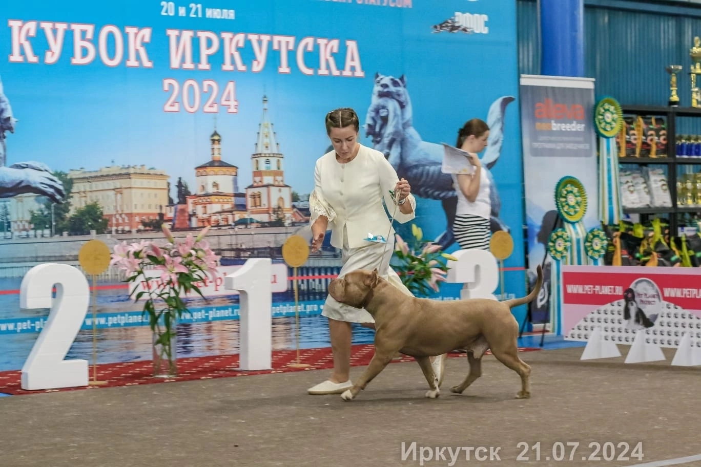 Участие в выставках. Американские булли XL в г. Калининград. Питомник Great Bully UNIVERSE