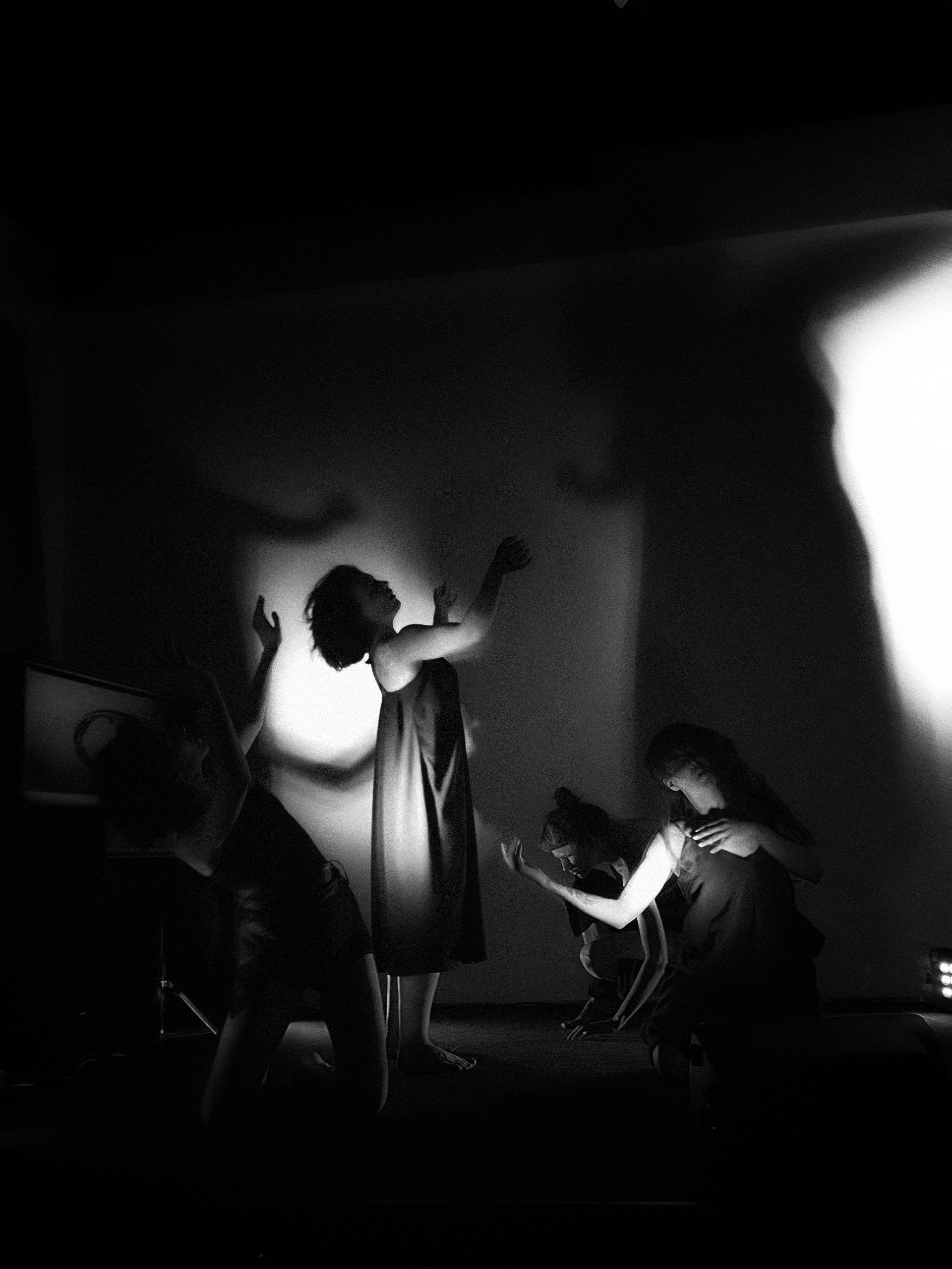 Performance. Portfolio Birdcrush