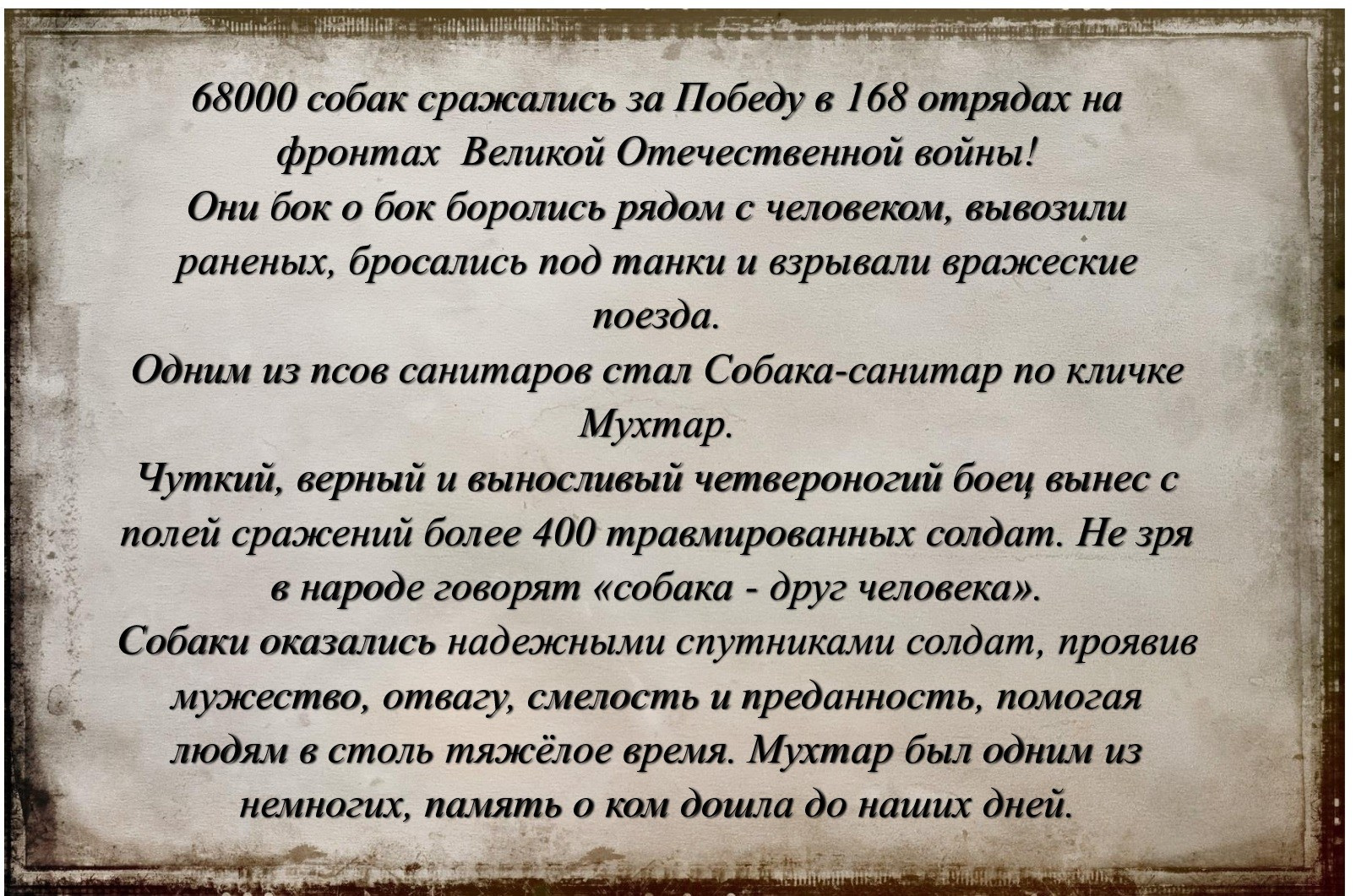 Акция рисунков «Собаки-герои Великой Отечественной войны». НРОО КЦ "Собаковод"