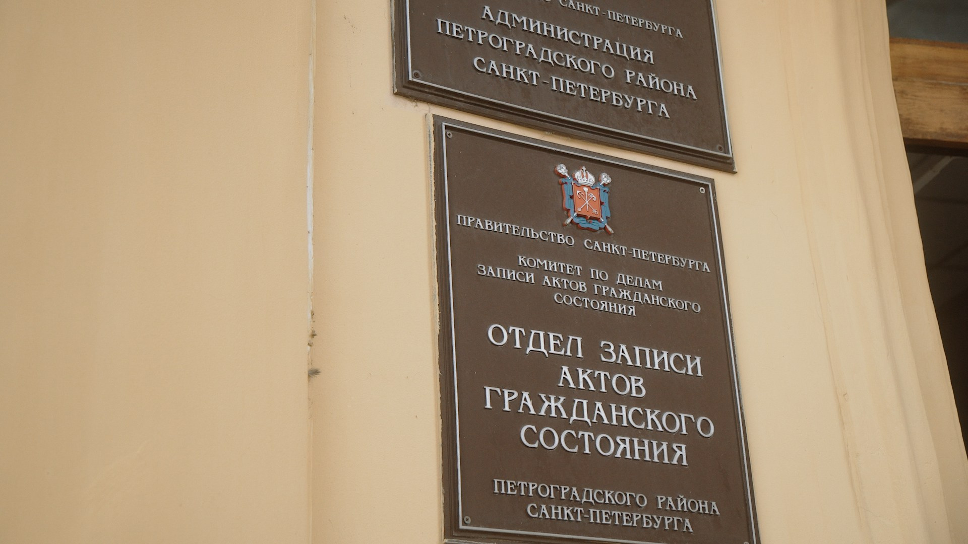 Портфолио. Видеограф Тюмень Дмитрий Перфильев