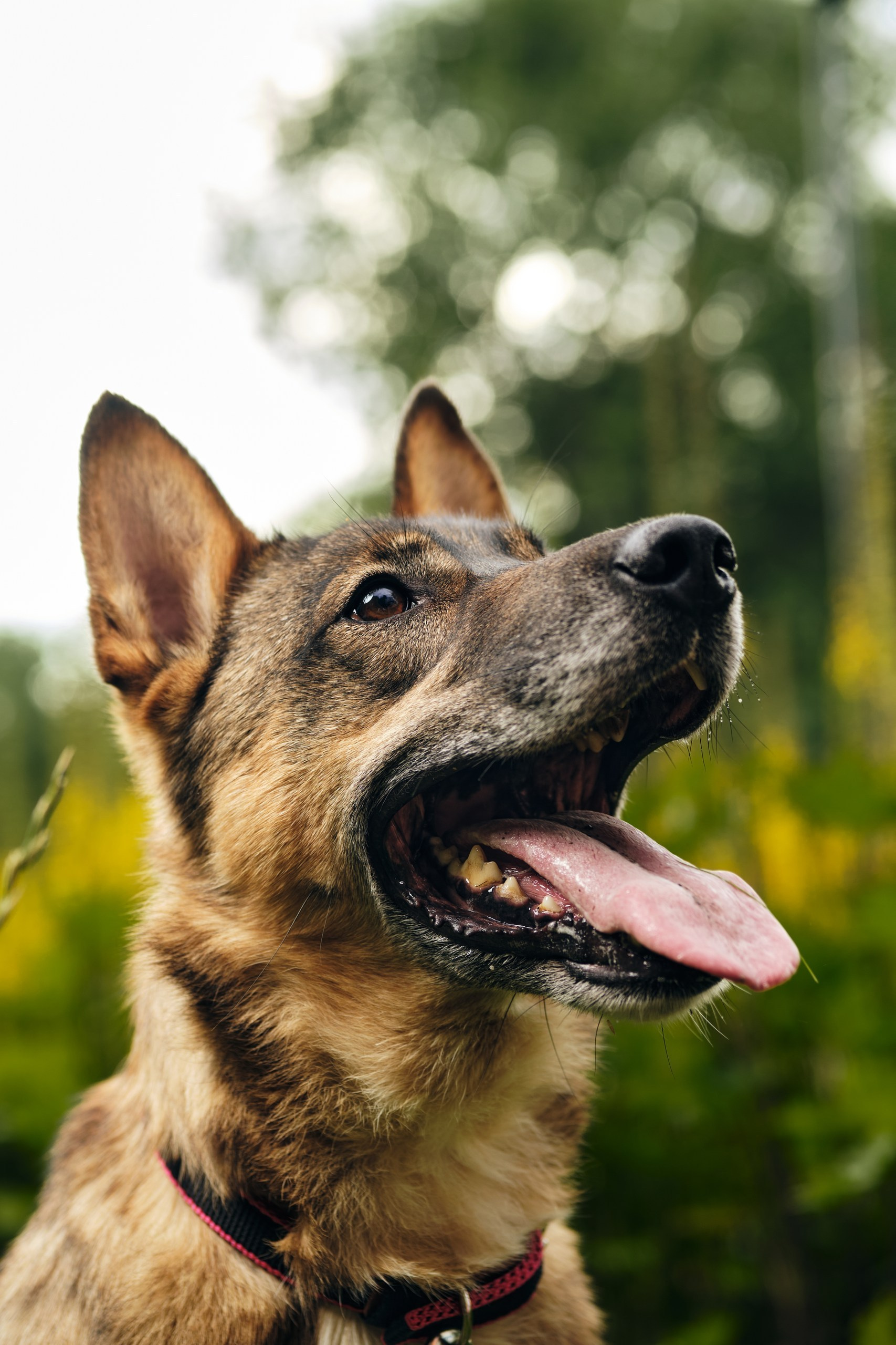 Проведенные фотосъемки в Москве. Профессиональный фотограф в Москве — Максим Дьяконов