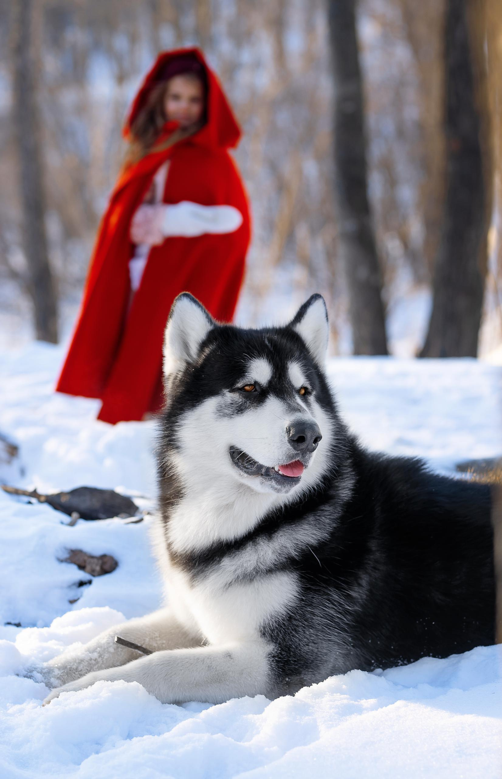 Детский и семейный Фотограф во Владивостоке Юлия Моисеенко