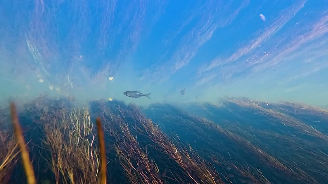 Услуги. Фотограф Татьяна Андриянова