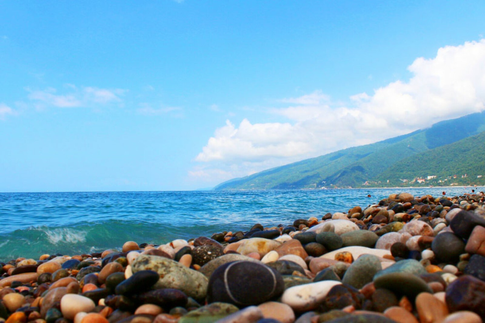 Абхазия. Мимоза. Ольга Котова