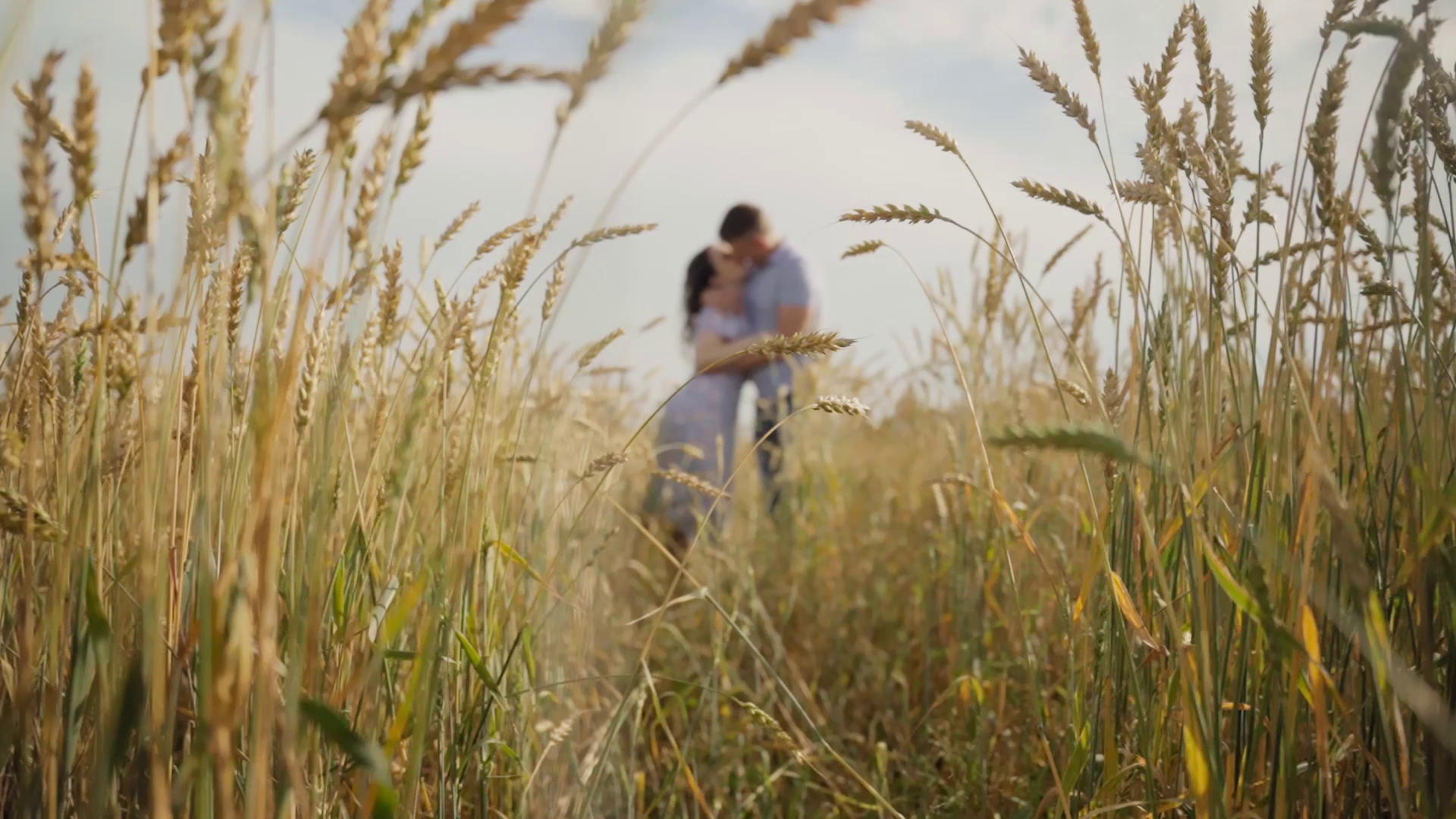 Gan media. Свадебные видео и фото в Барнауле. Антон Губанов