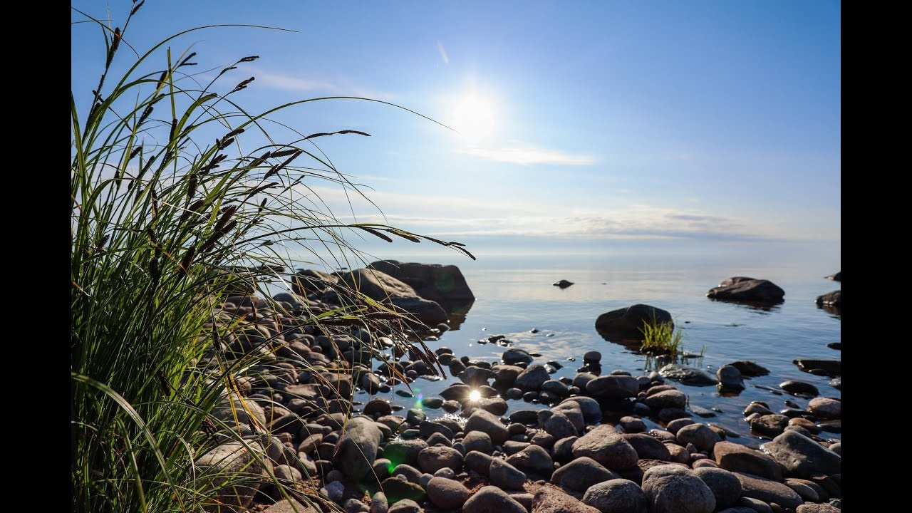 Видео. NUTA ART - photo-video creator