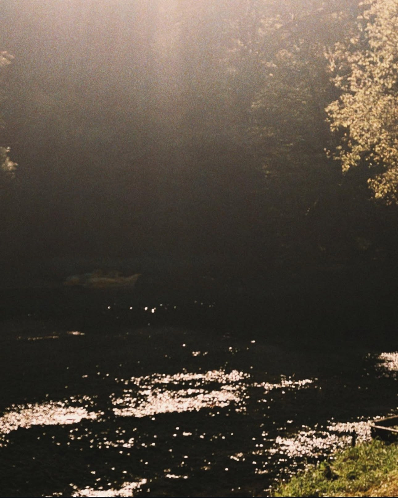 Виолетта Скрипка