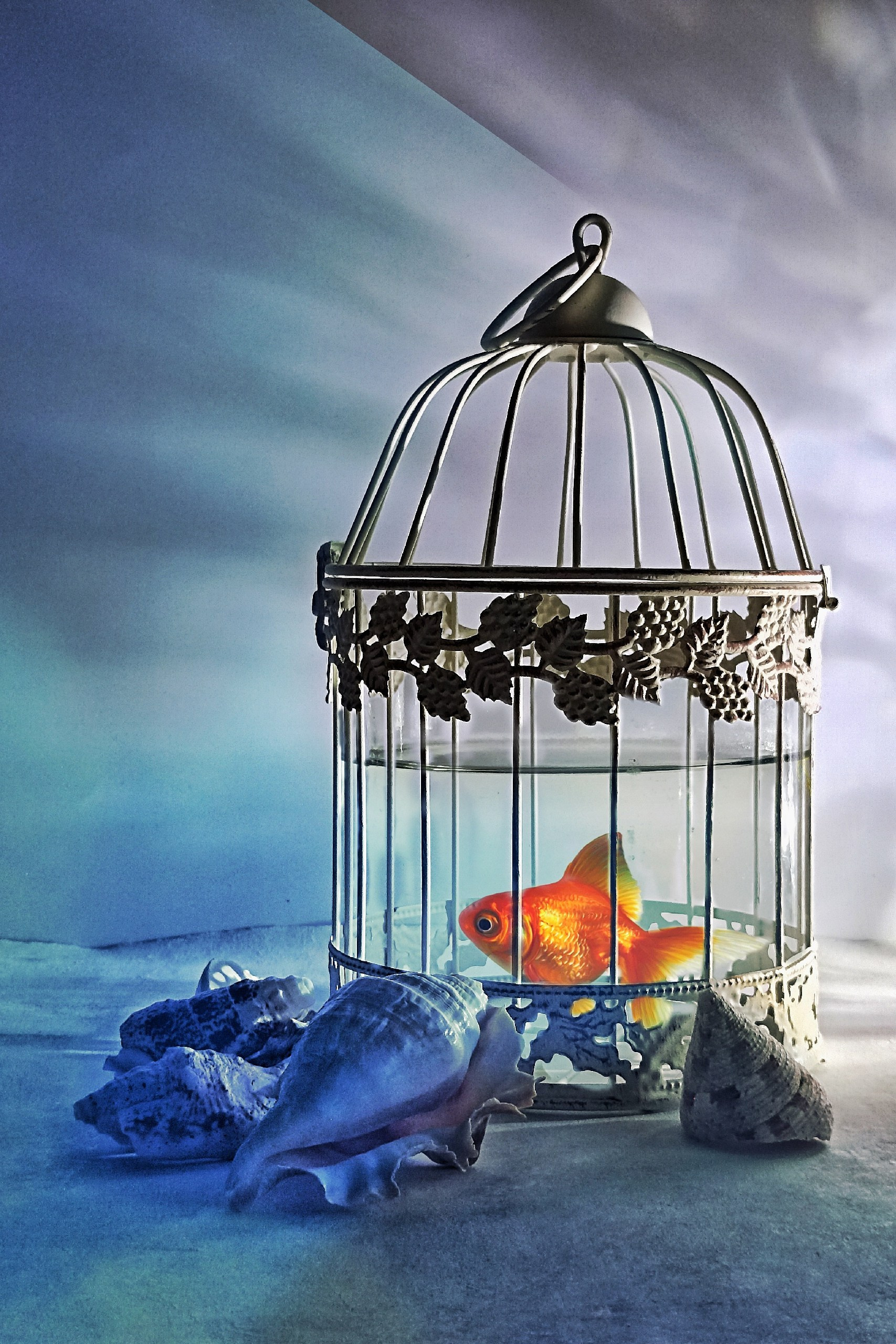 ГУМ «МИР СНОВ» МОСКВА. ARTEXPOPHOTO