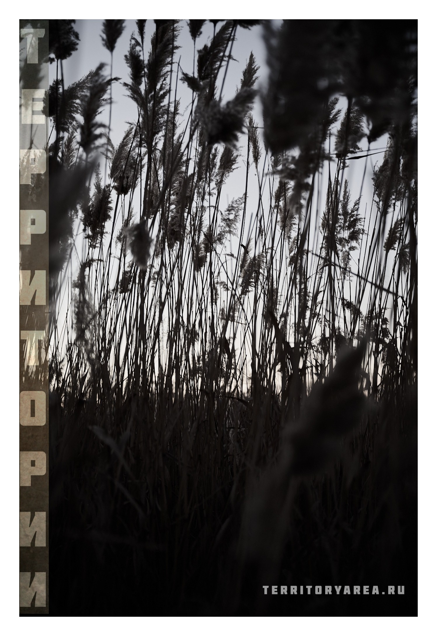 Фотопринты А3. Фотопроект «Территории»