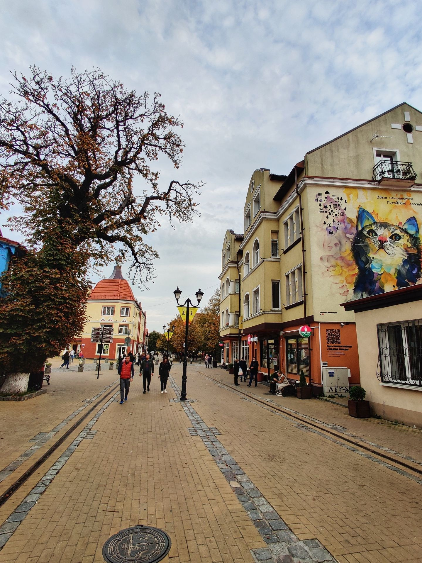 Пешеходная улица в Зеленоградске с граффити кота и гуляющими людьми
